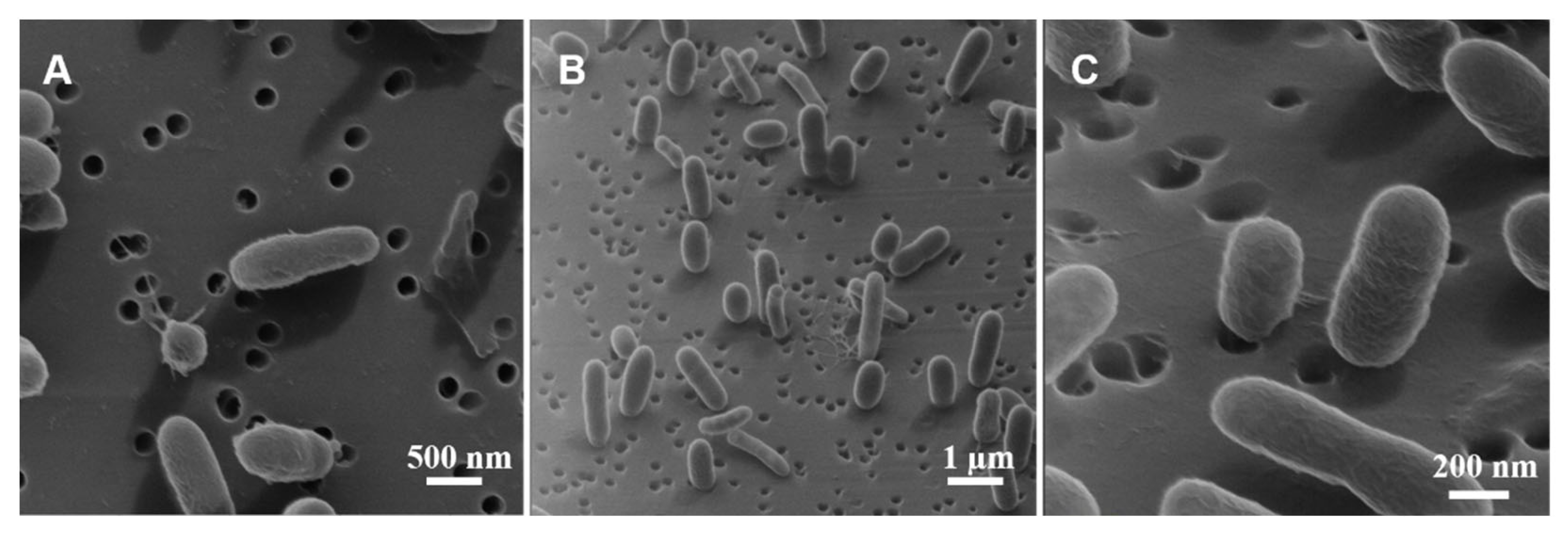 Chemosensors 09 00283 g004