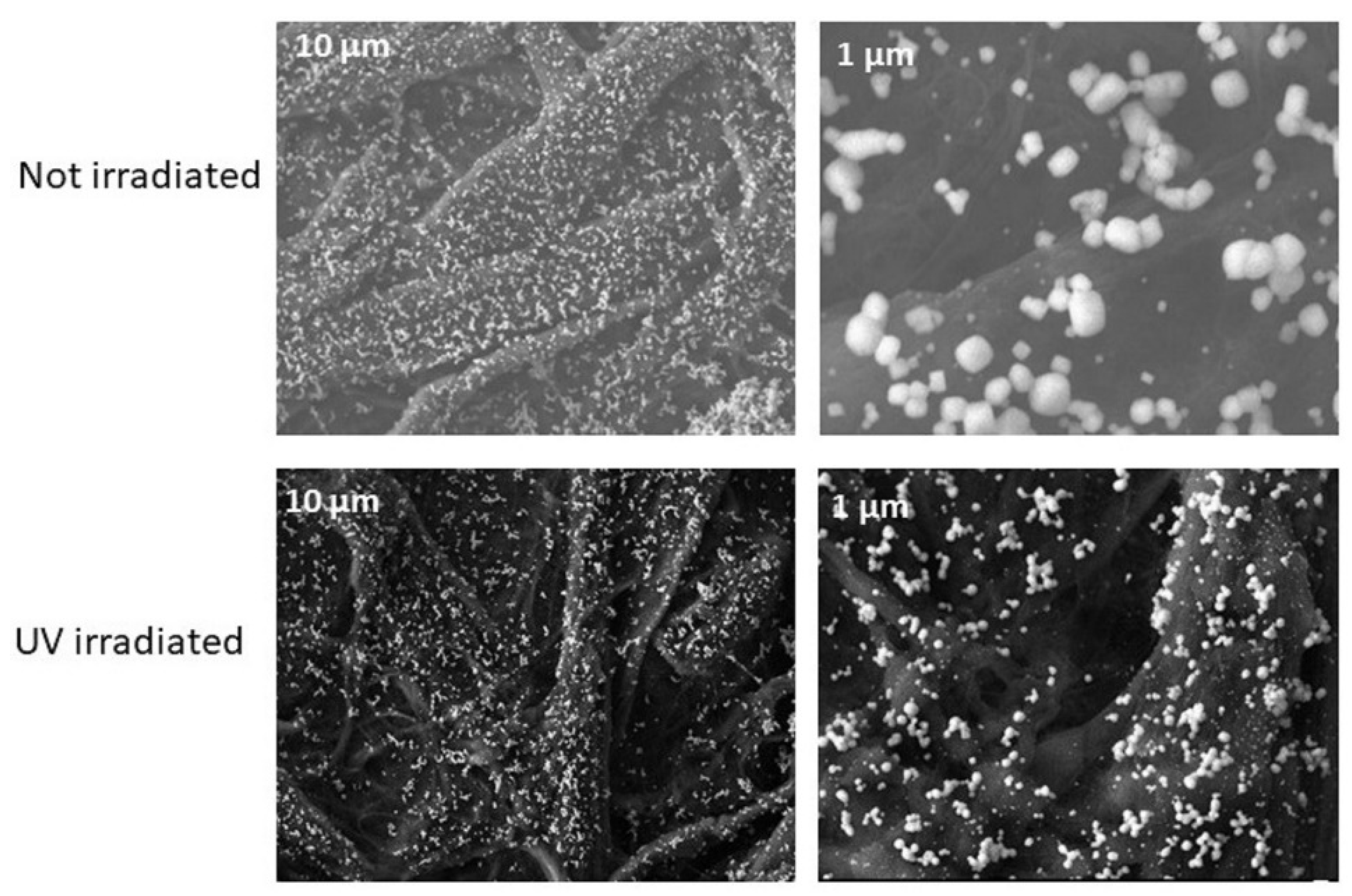 Chemosensors 09 00286 g004 Chemosensors 09 00286 g004