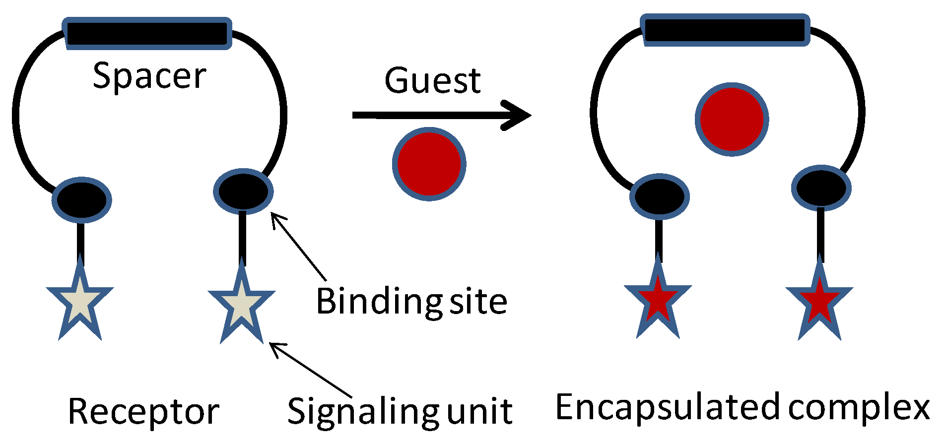 Chemosensors 09 00287 sch001 550