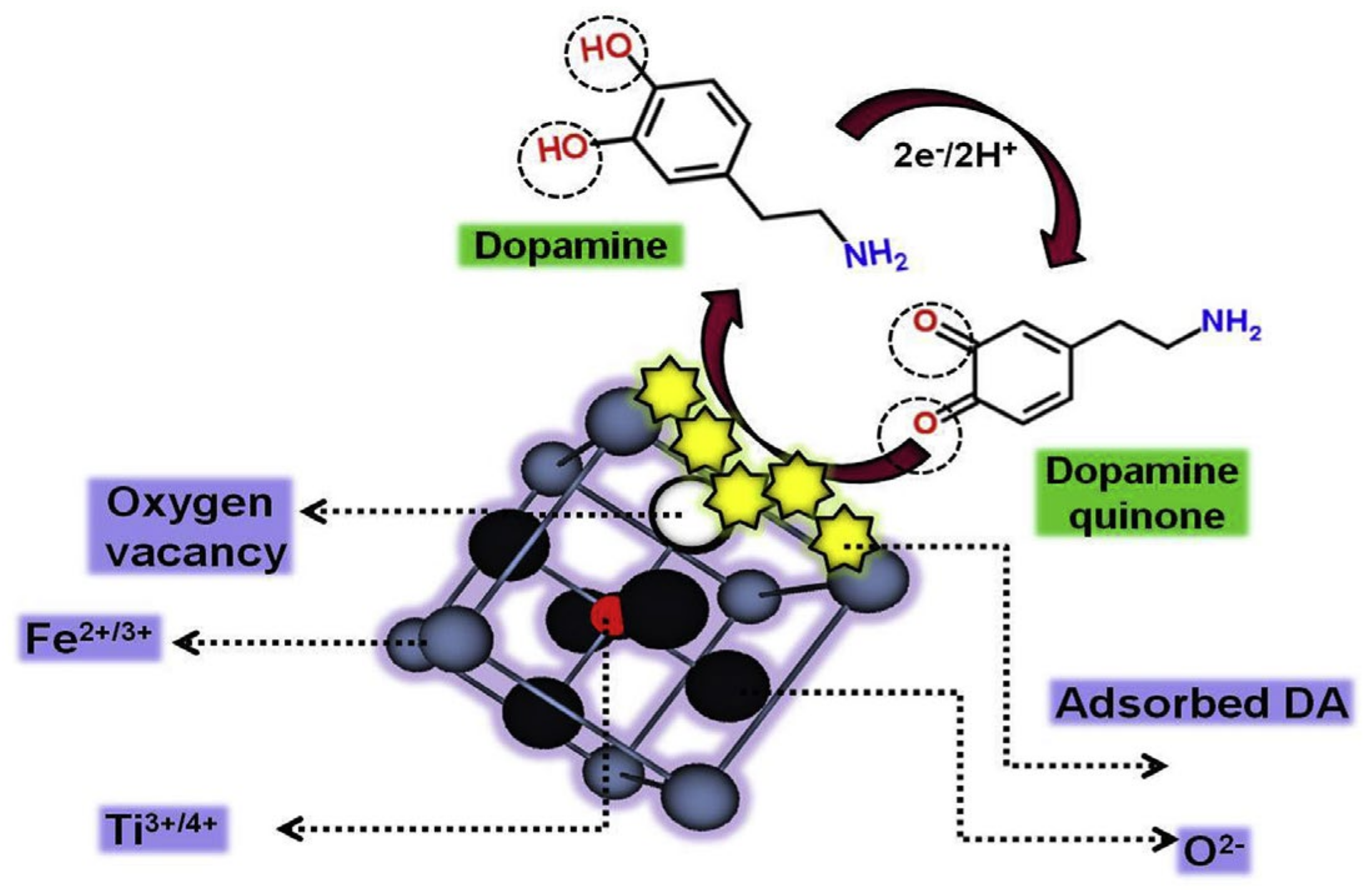 Chemosensors 09 00289 g005