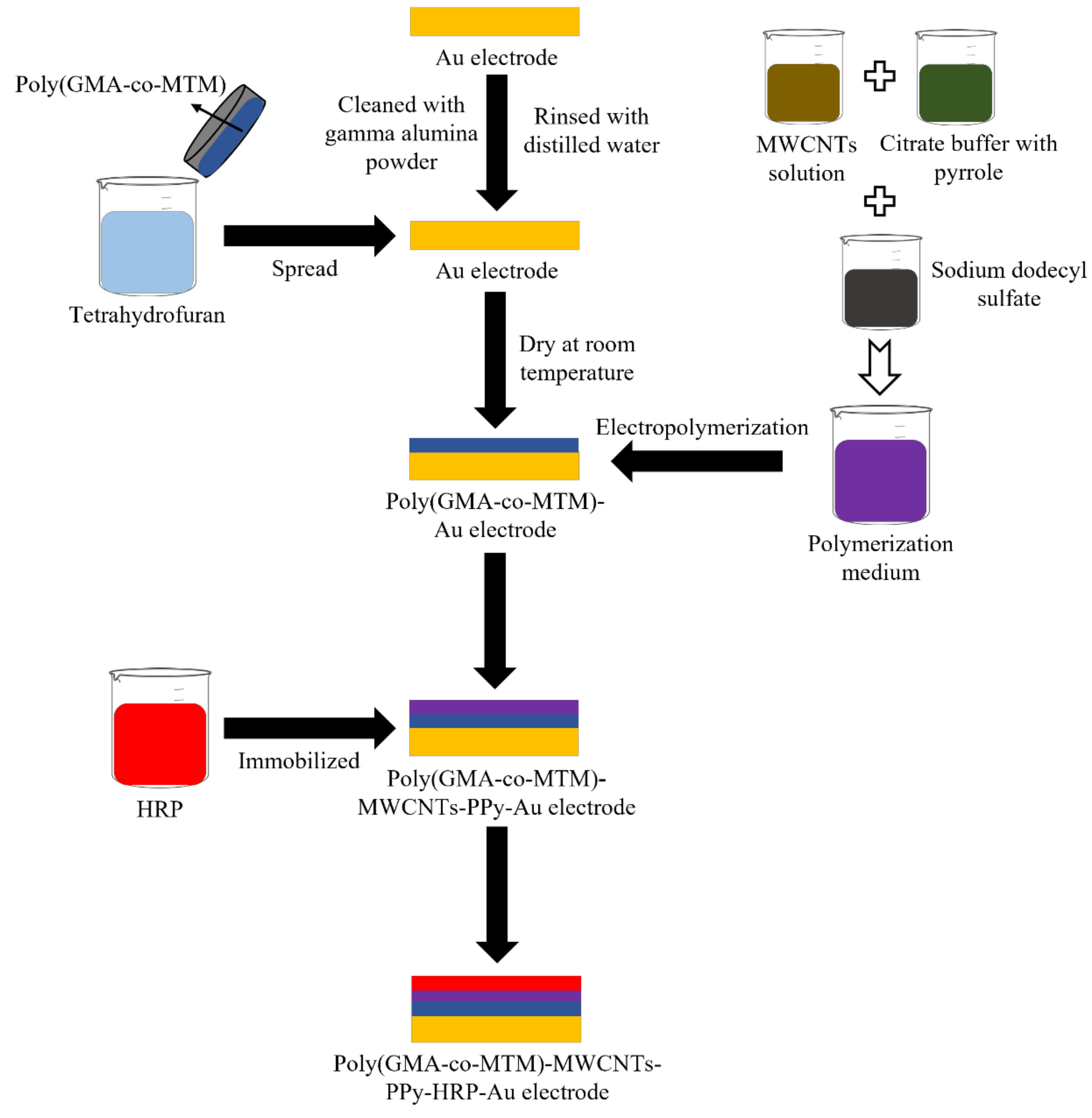 Chemosensors 09 00291 g003 550