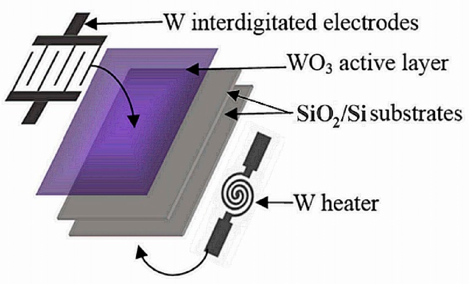 Chemosensors 09 00295 g001 550