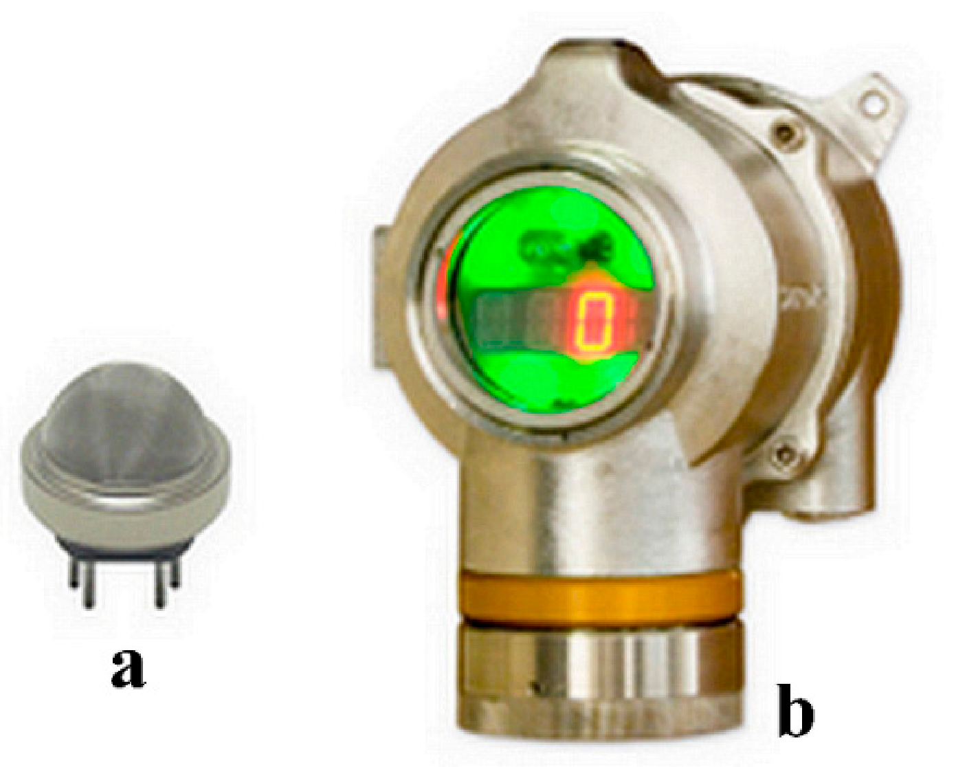 Chemosensors 09 00295 g002 550
