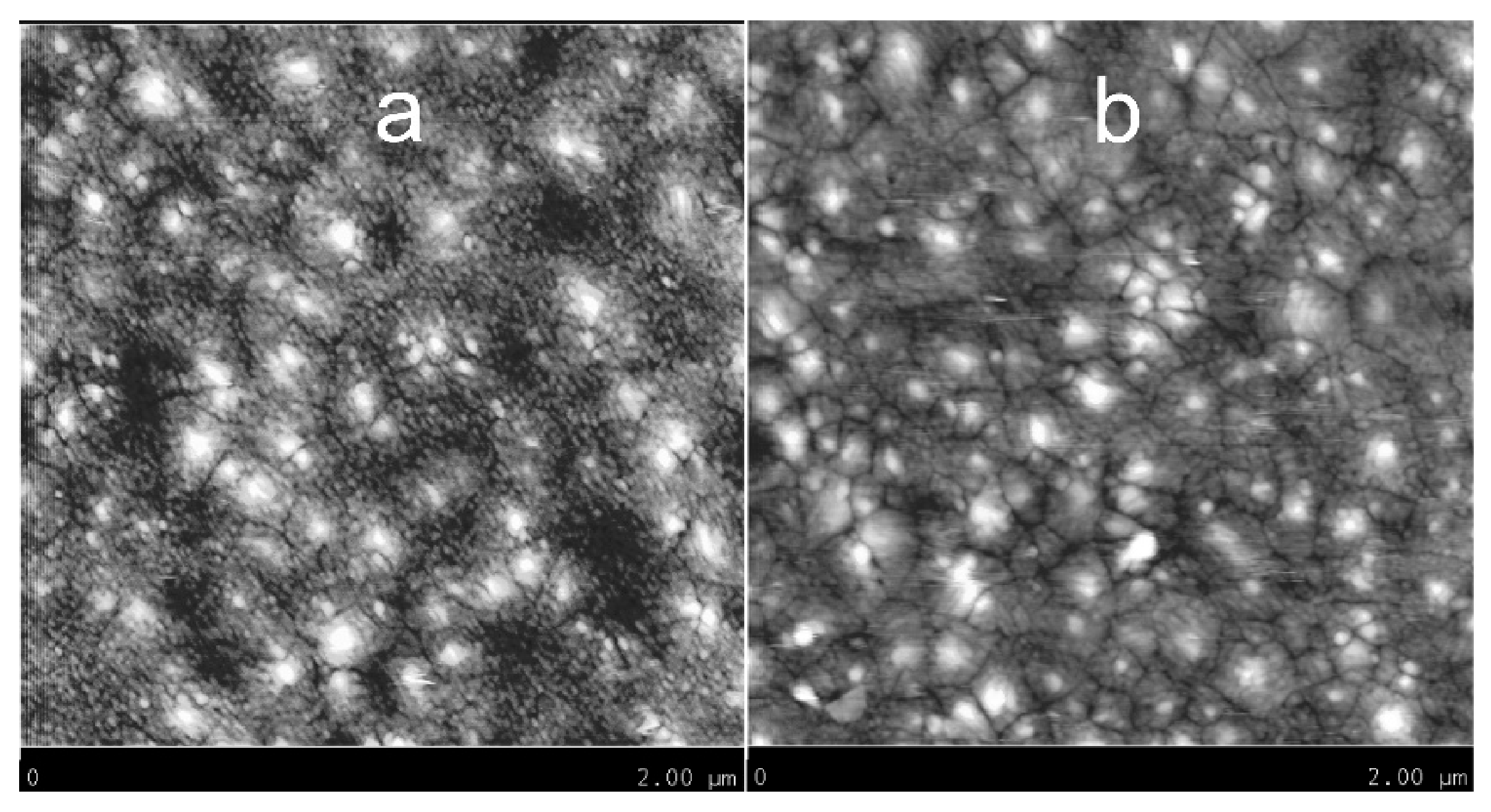 Chemosensors 09 00295 g005 550