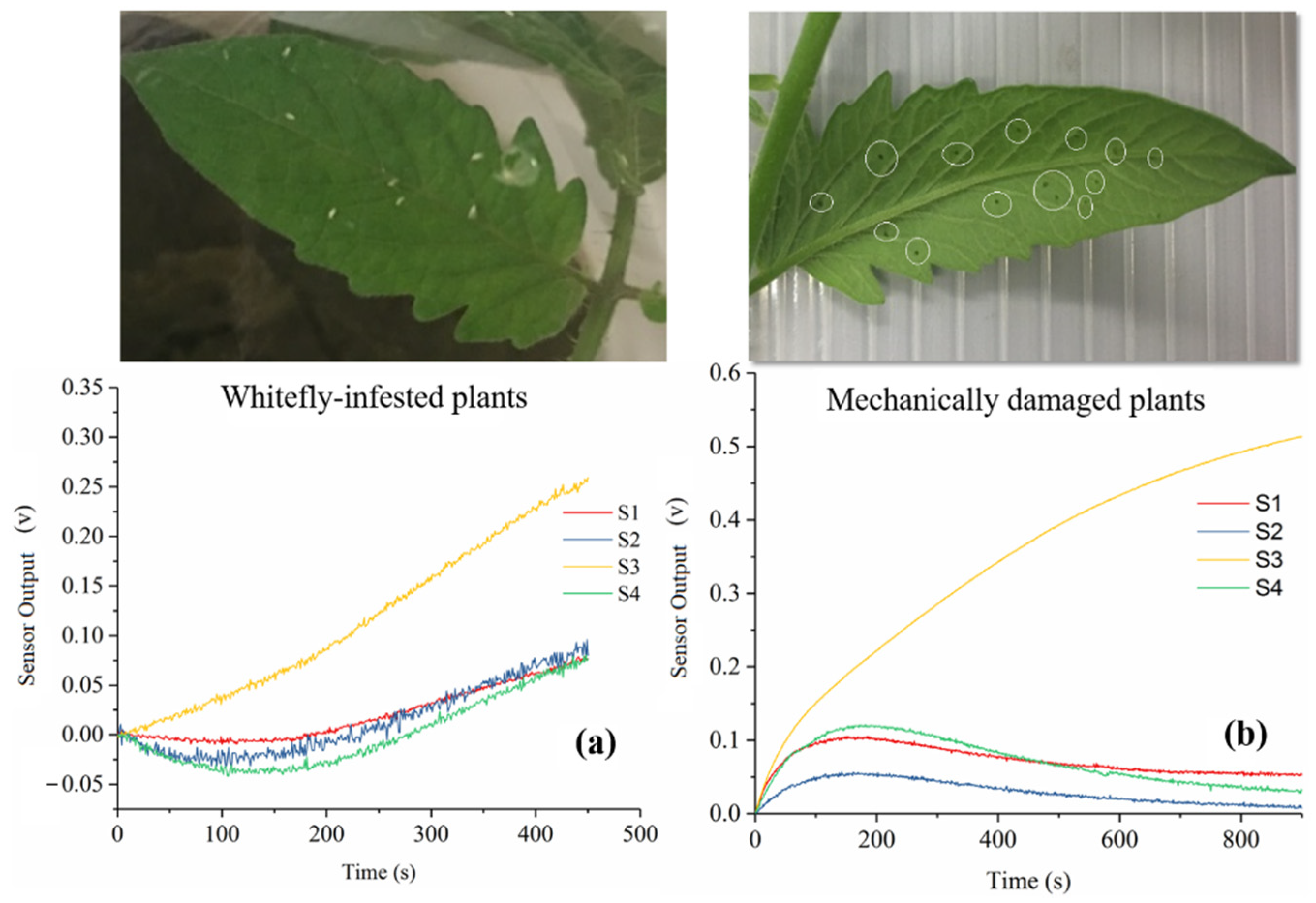 Chemosensors 09 00297 g008 Chemosensors 09 00297 g008