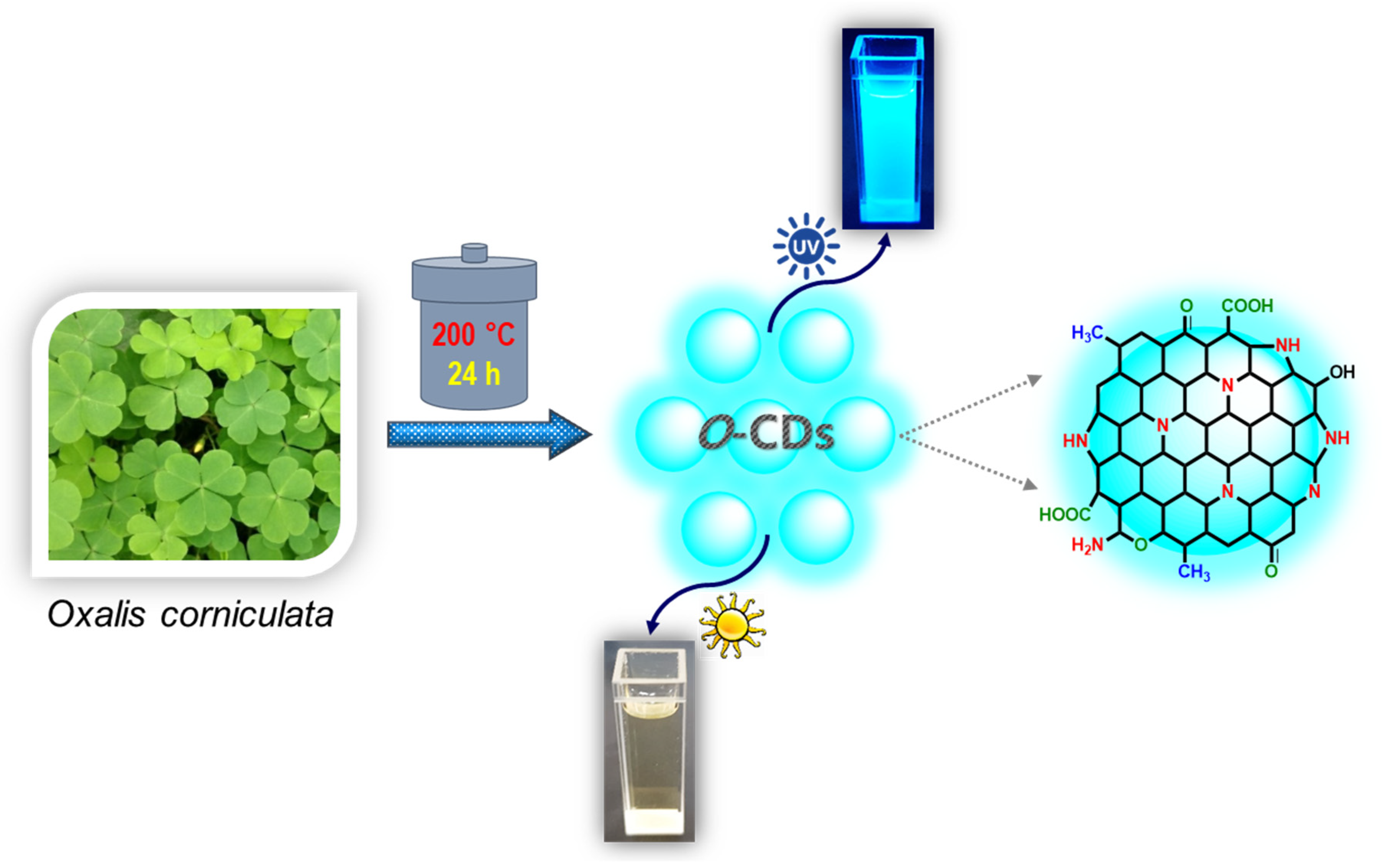 Chemosensors 09 00301 sch001 550