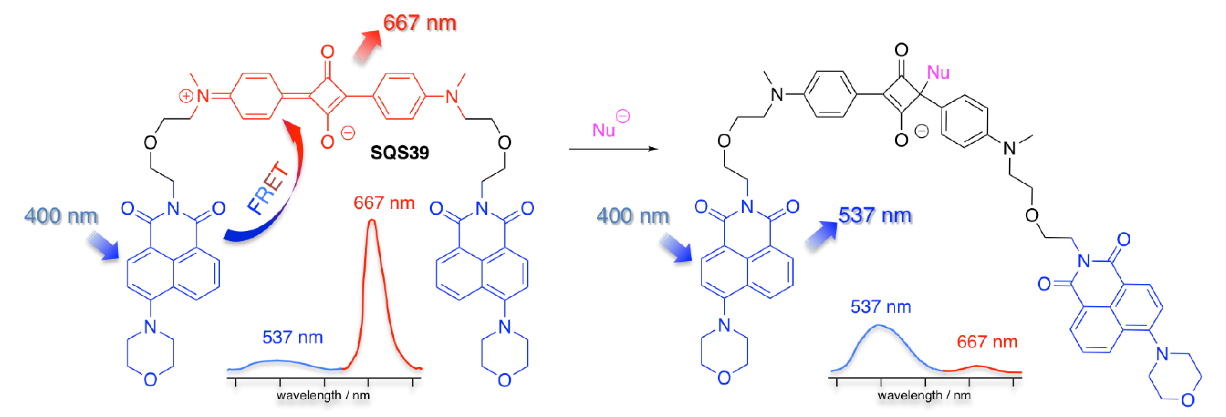 Chemosensors 09 00302 sch015