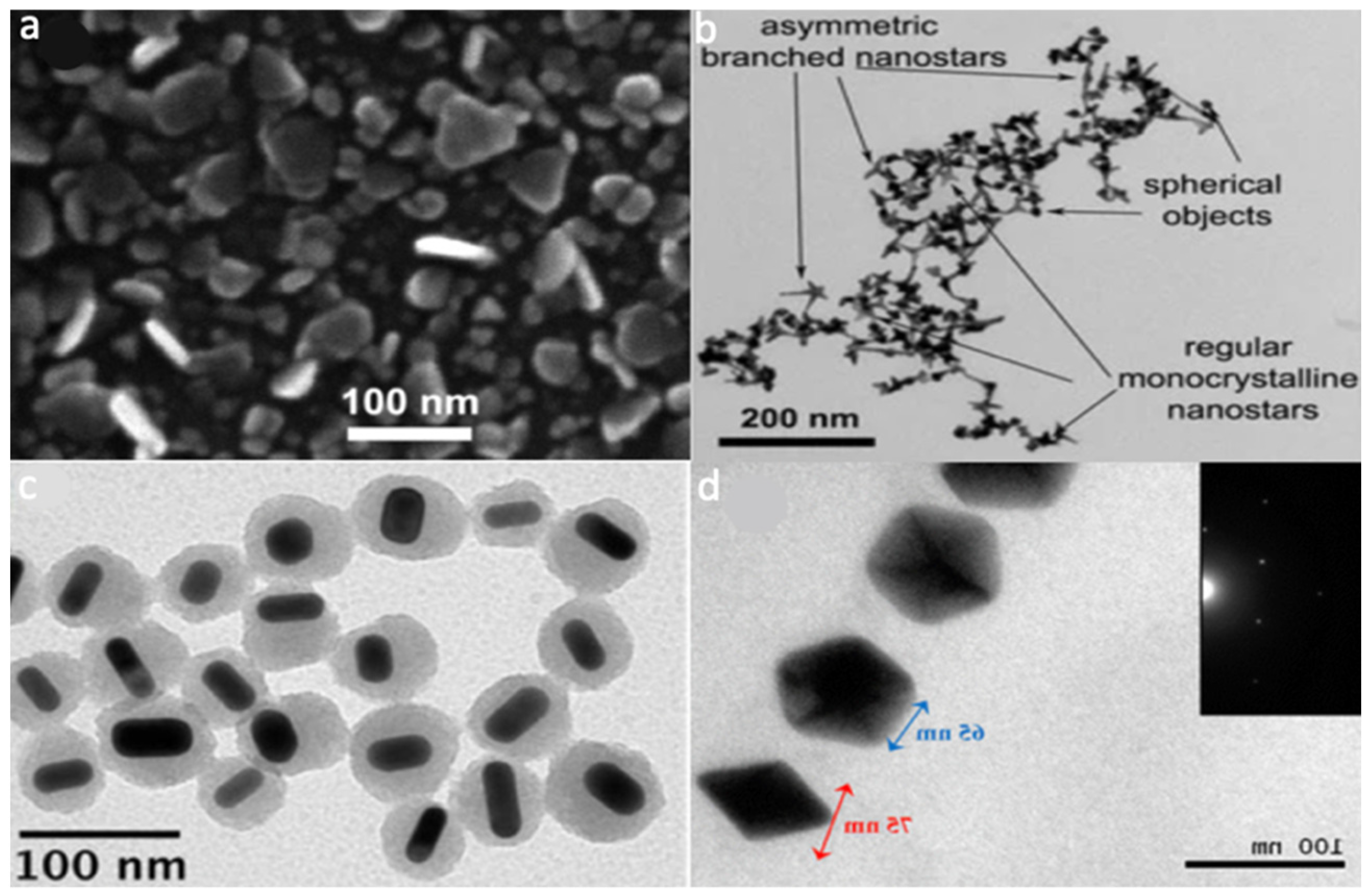 Chemosensors 09 00305 g001