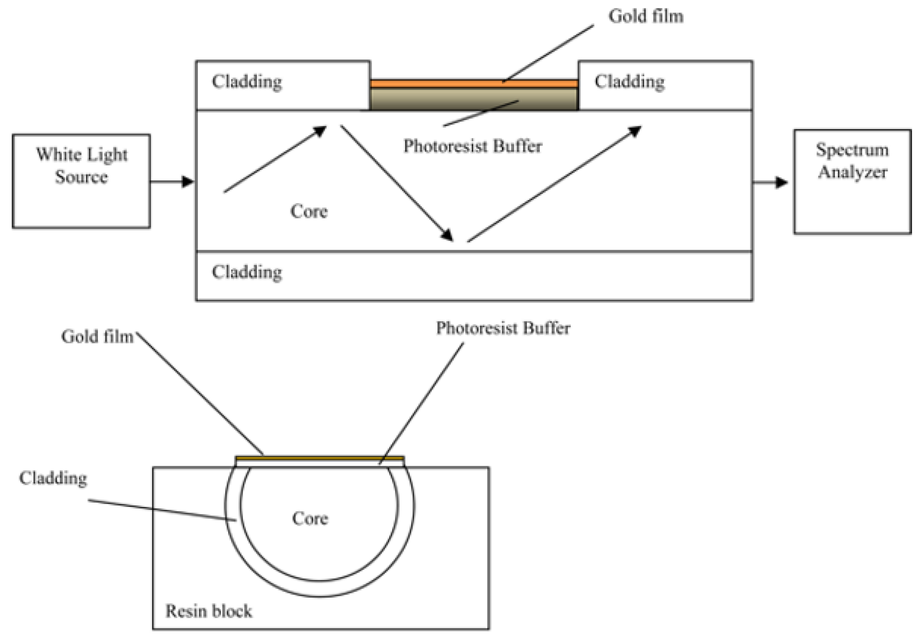 Chemosensors 09 00305 g002