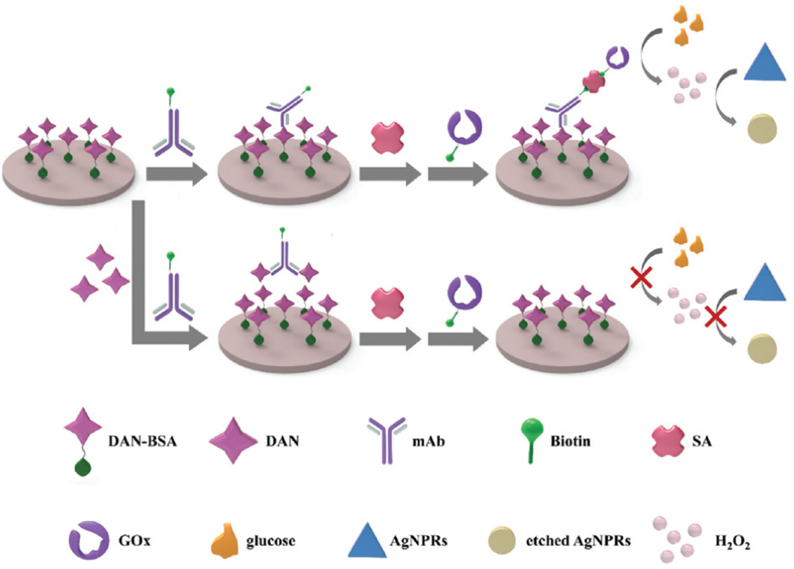 Chemosensors 09 00305 g007