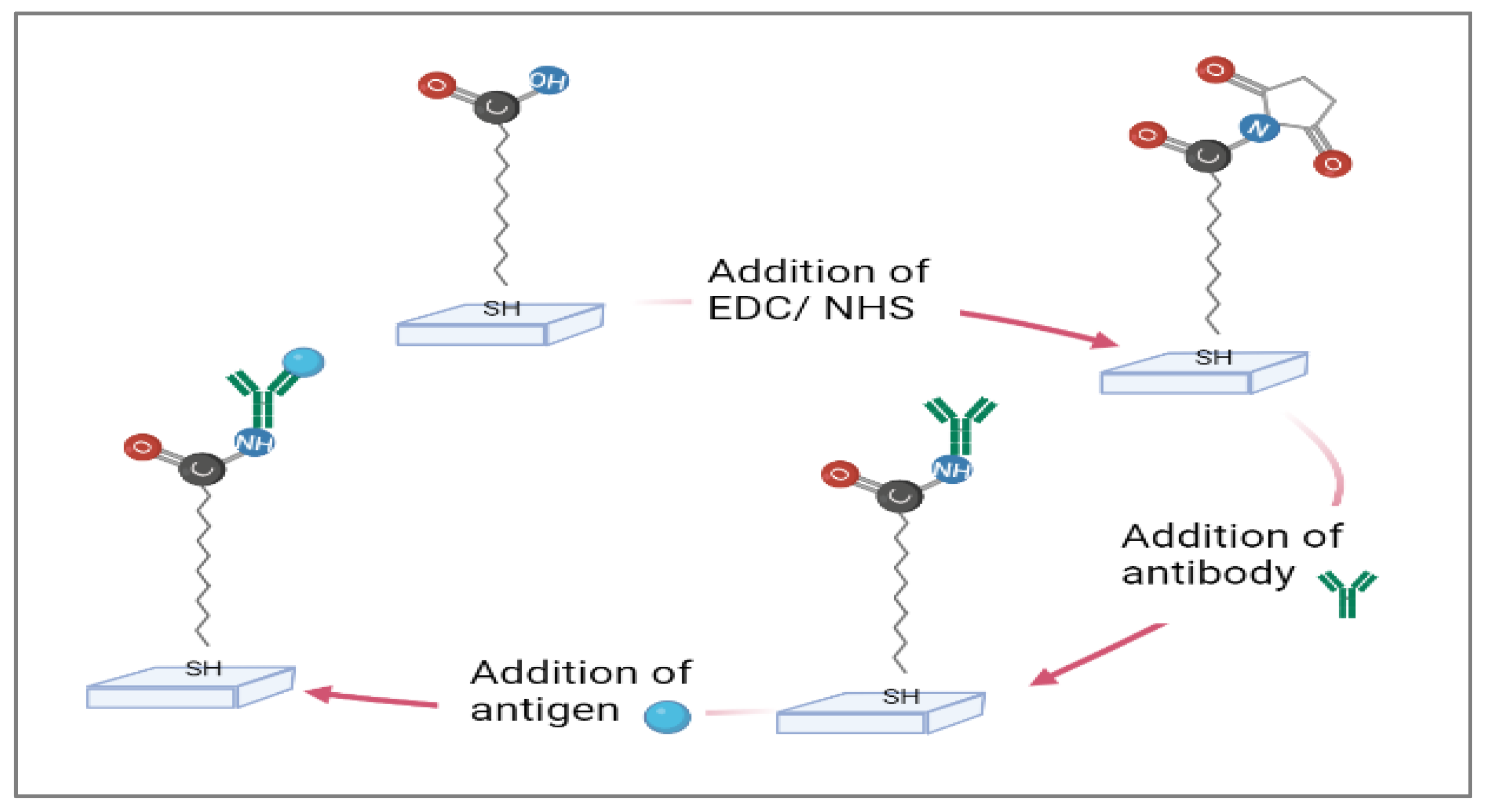 Chemosensors 09 00307 g002 550