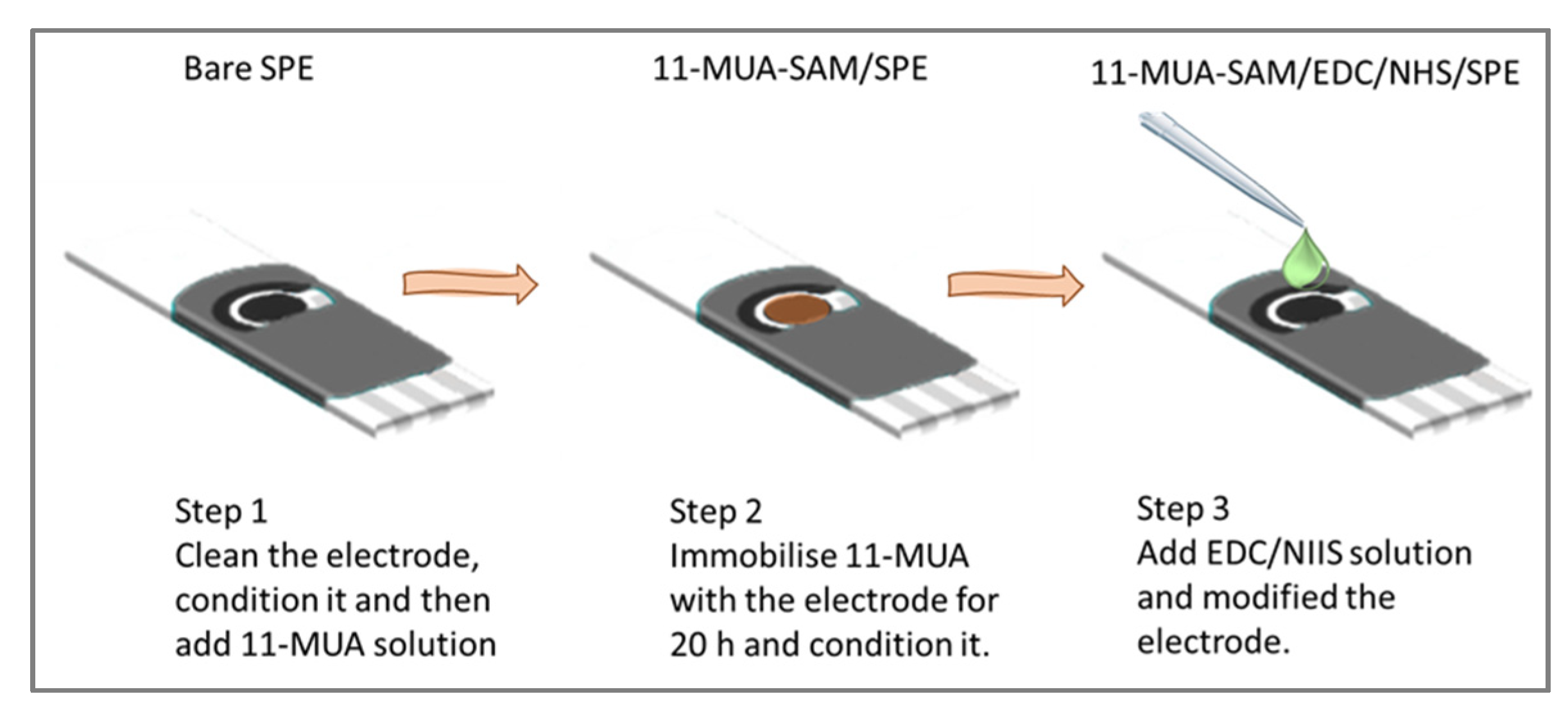 Chemosensors 09 00307 g003 550