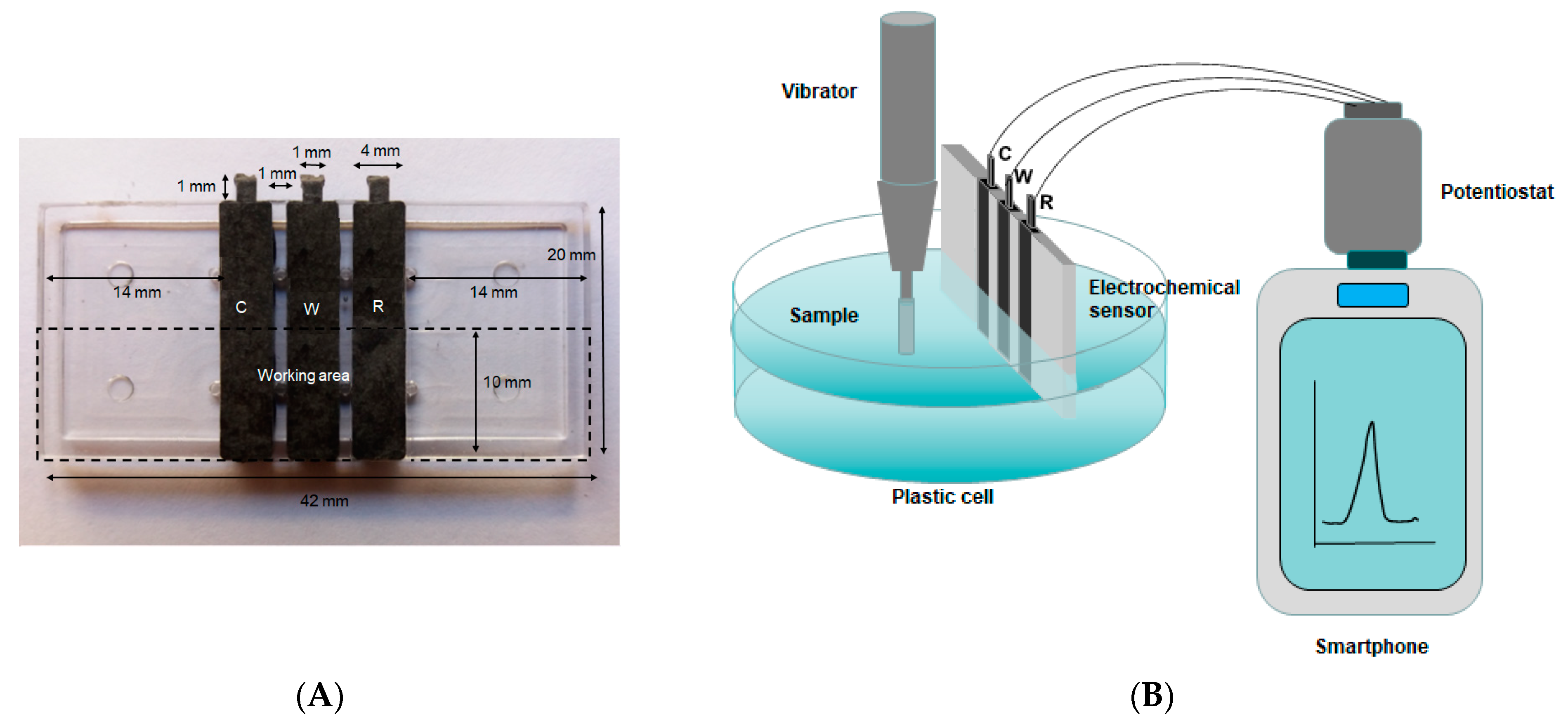 Chemosensors 09 00310 g001