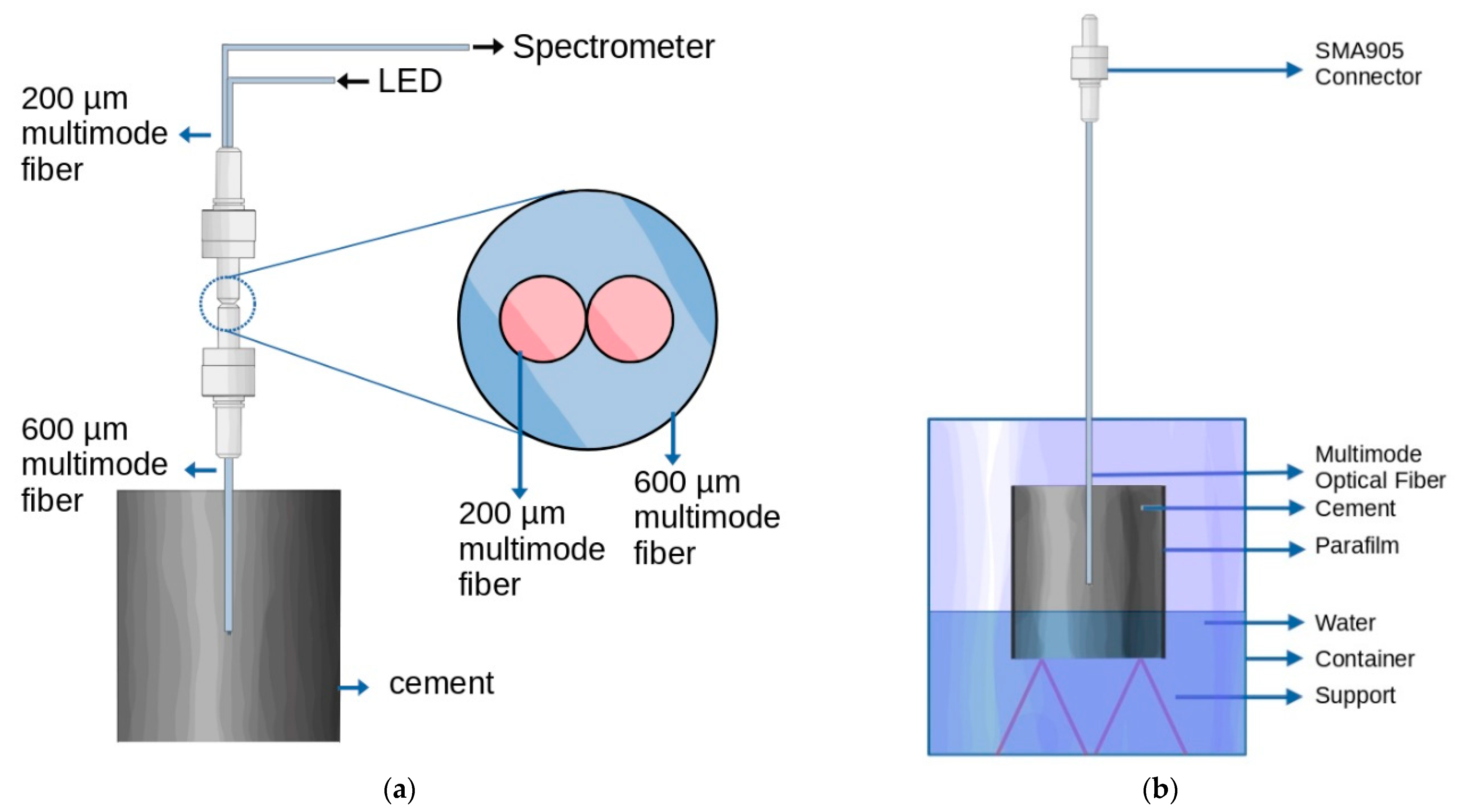 Chemosensors 09 00312 g001 550