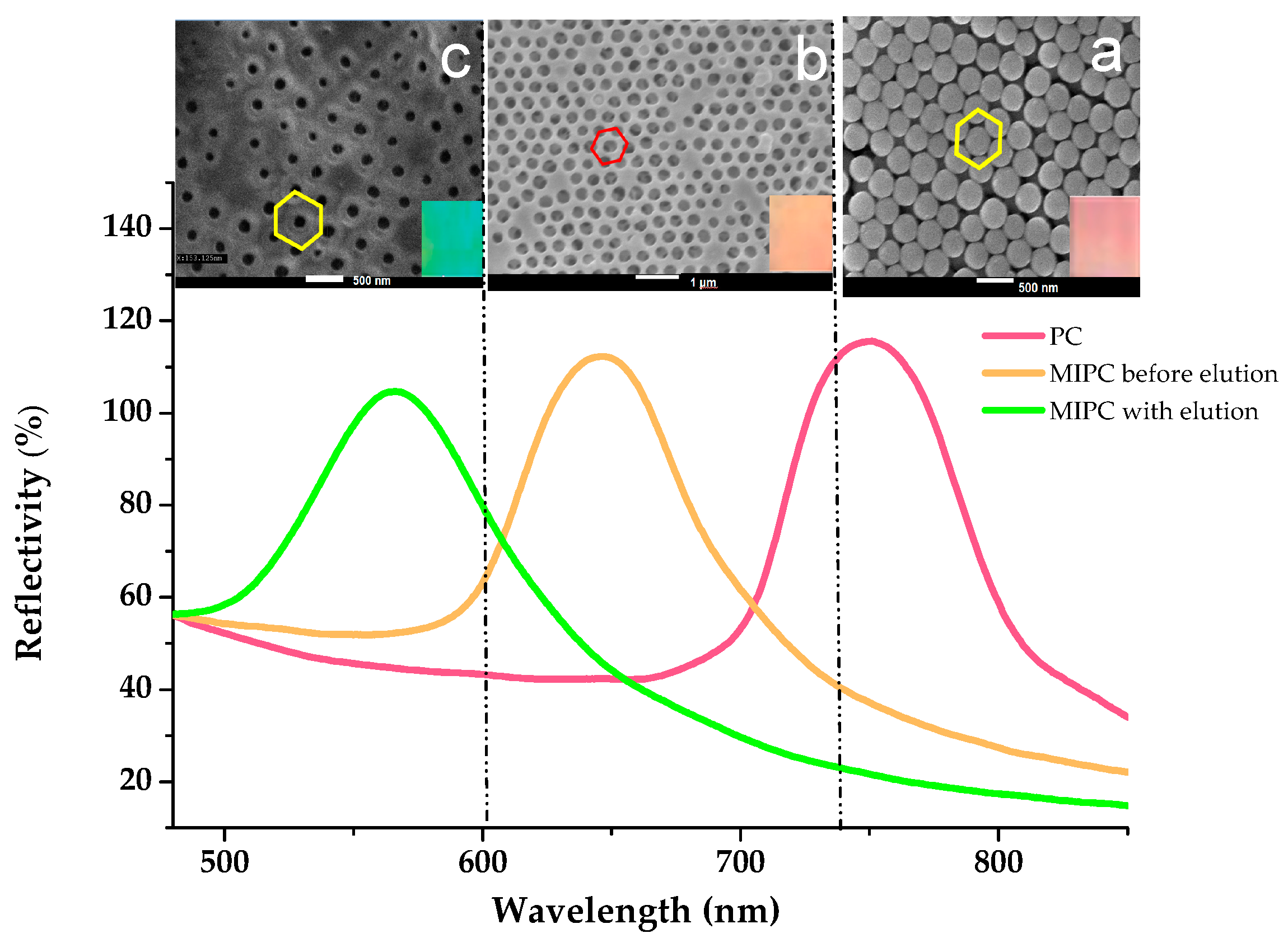 Chemosensors 09 00314 g001 550