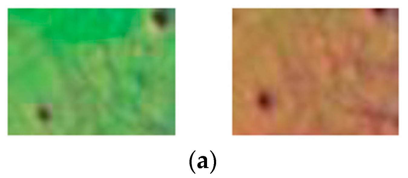 Chemosensors 09 00314 g007a 550