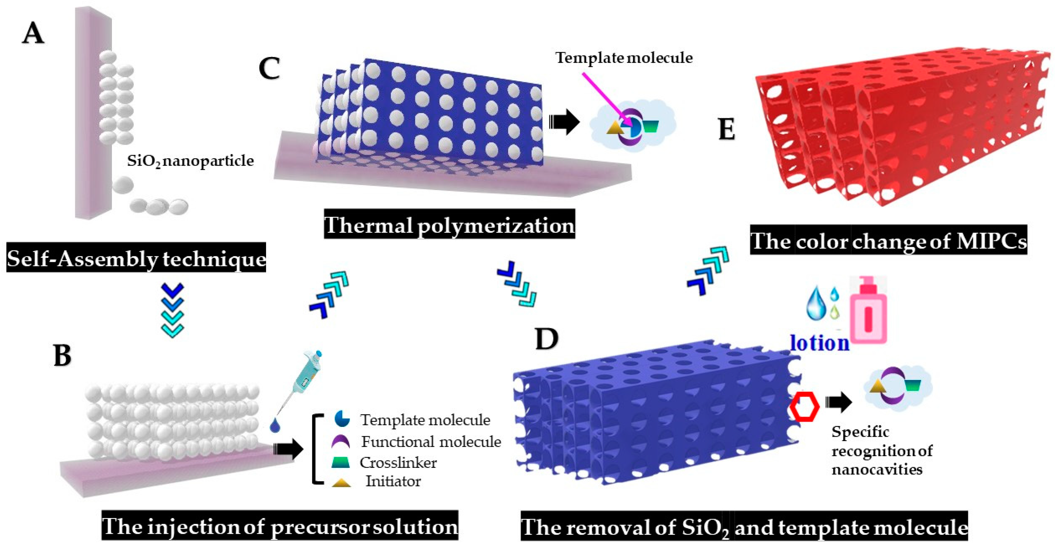 Chemosensors 09 00314 sch001 550
