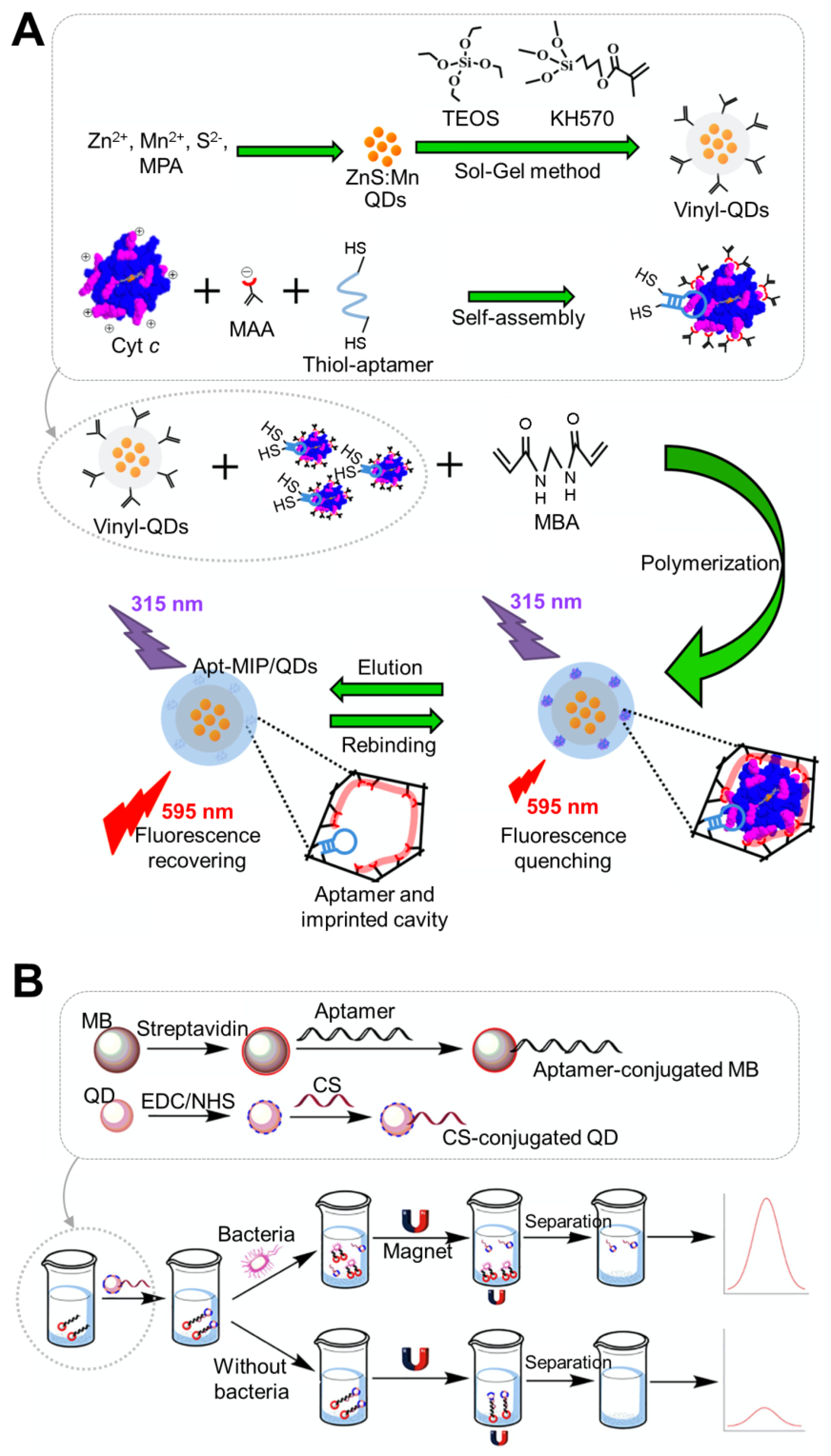 Chemosensors 09 00318 g001 Chemosensors 09 00318 g001