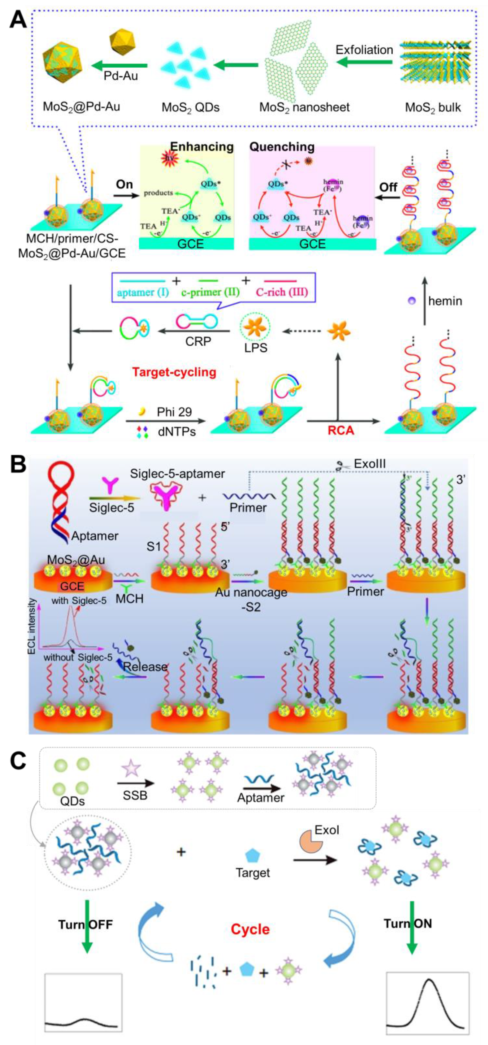 Chemosensors 09 00318 g004 Chemosensors 09 00318 g004