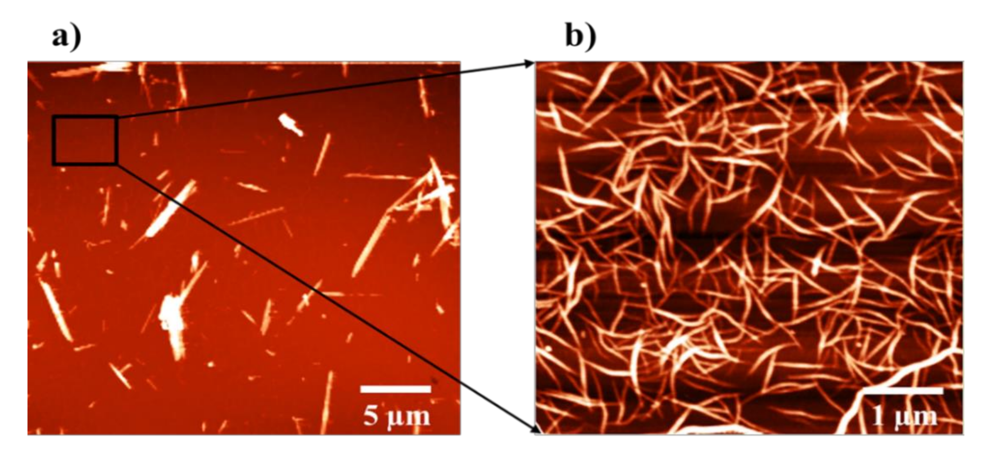 Chemosensors 09 00320 g002 550