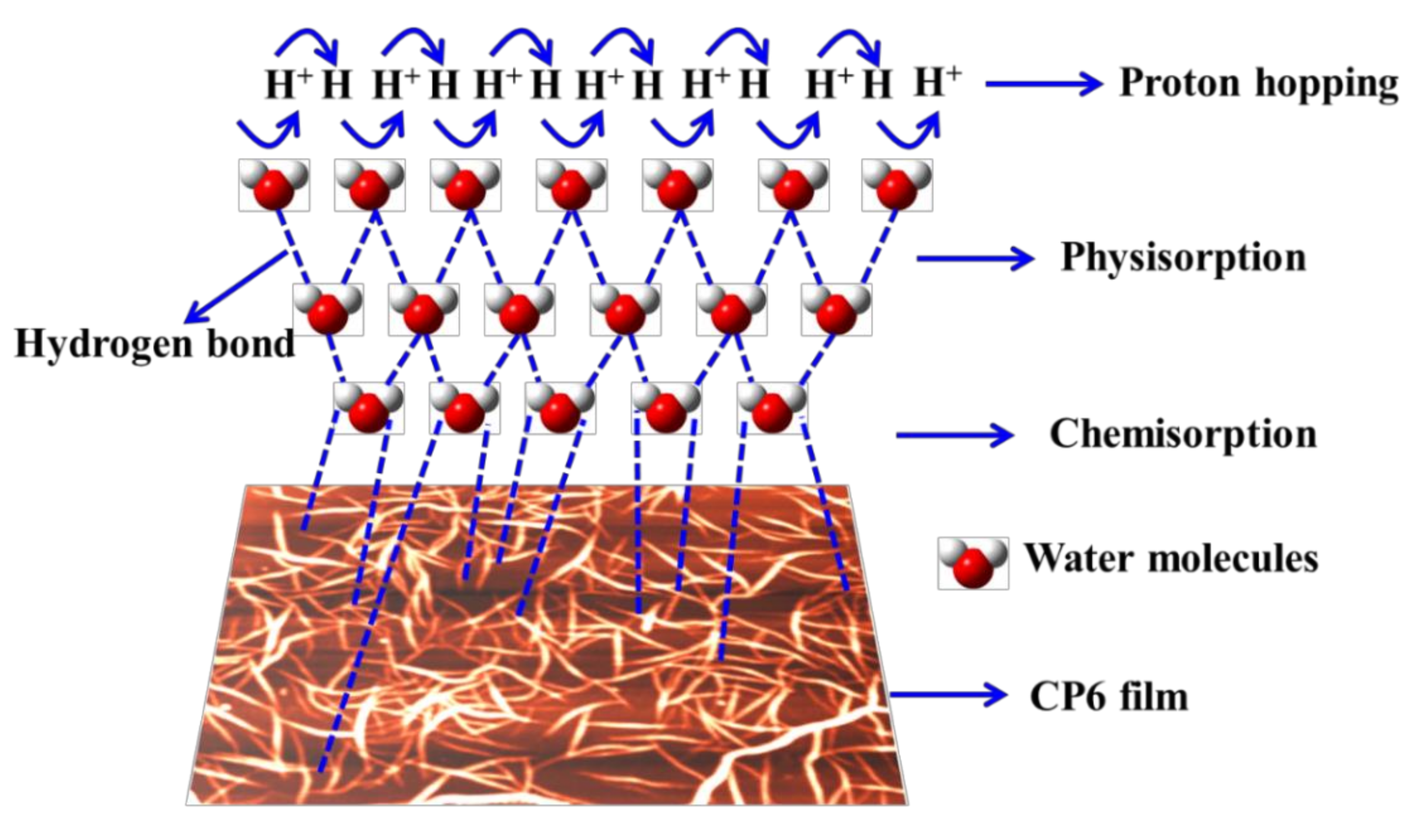 Chemosensors 09 00320 g005 550