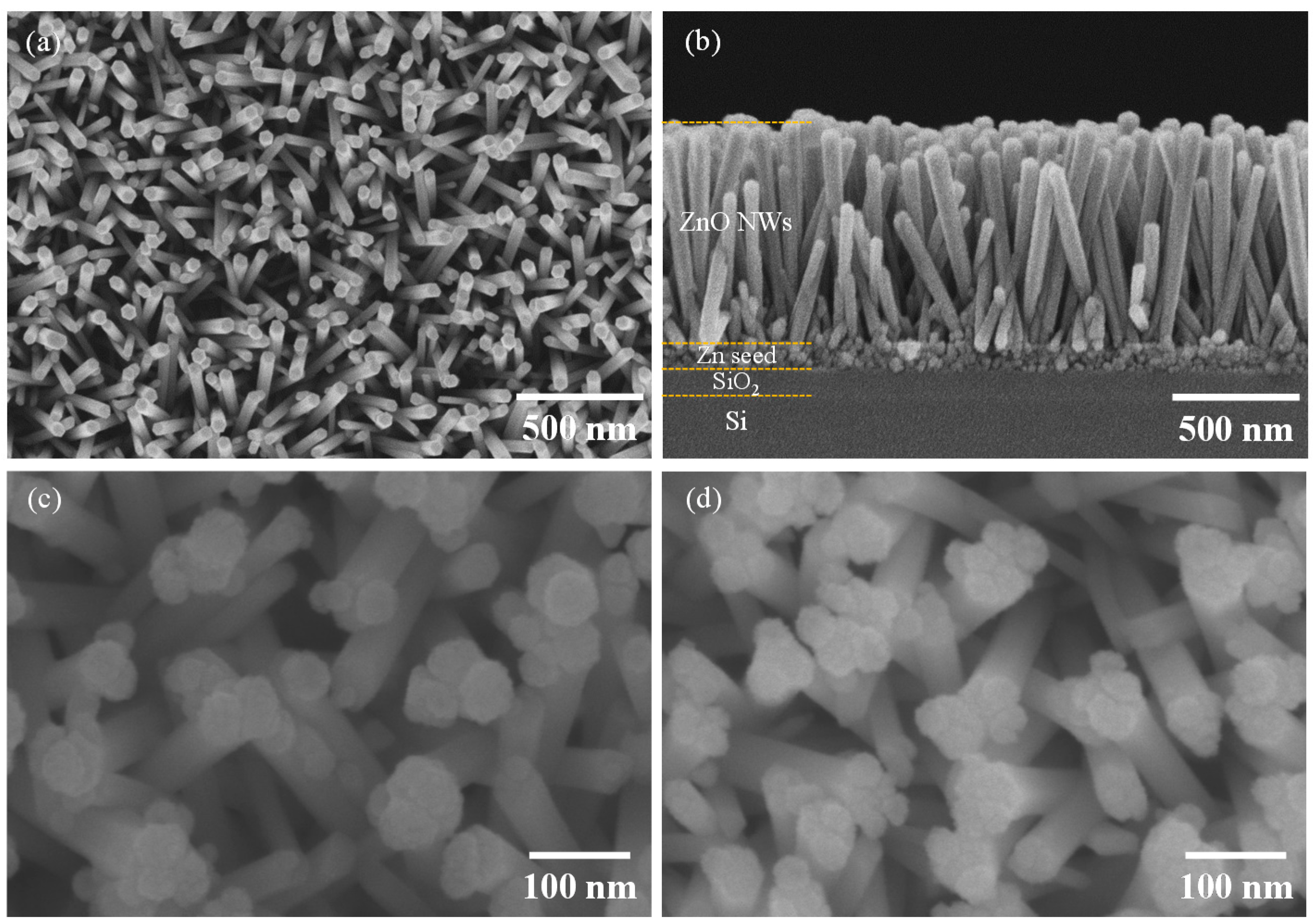 Chemosensors 09 00321 g002 550