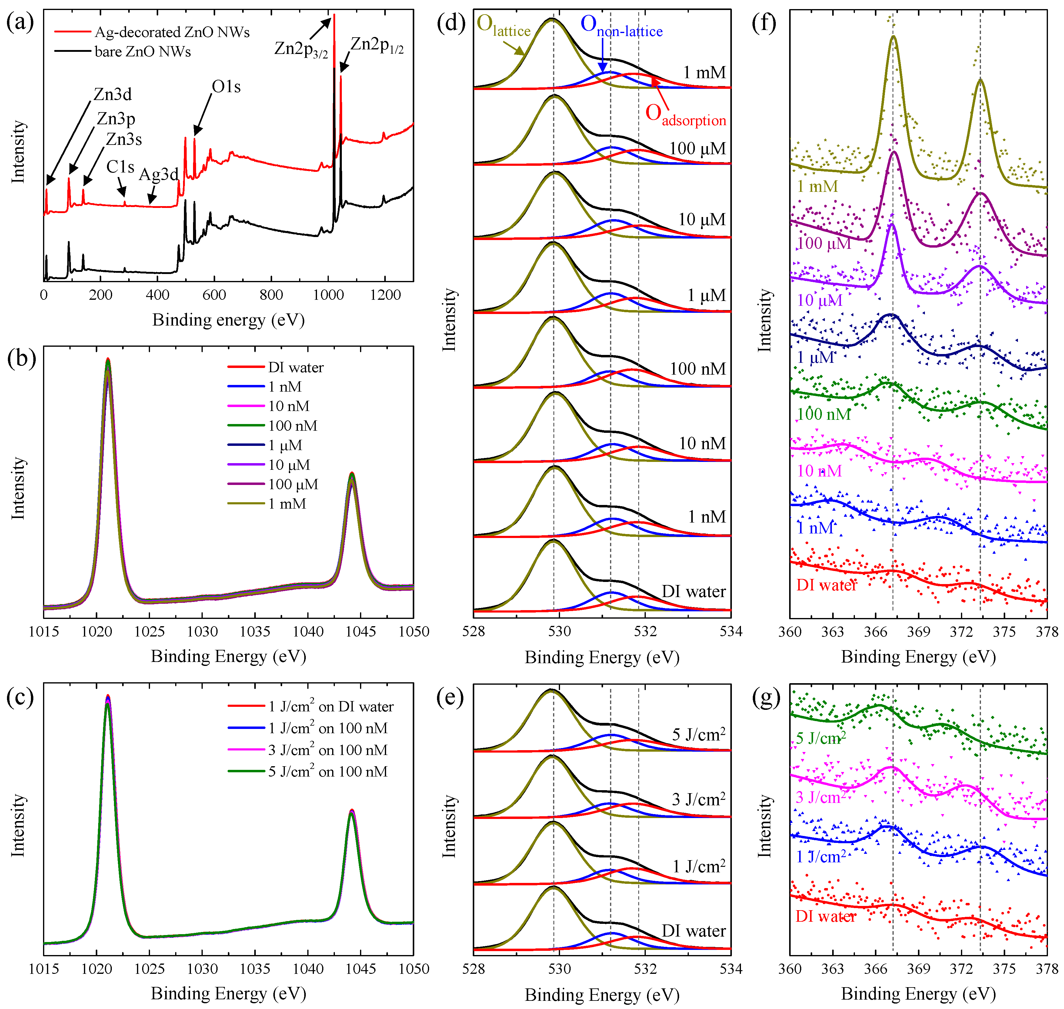 Chemosensors 09 00321 g004 550