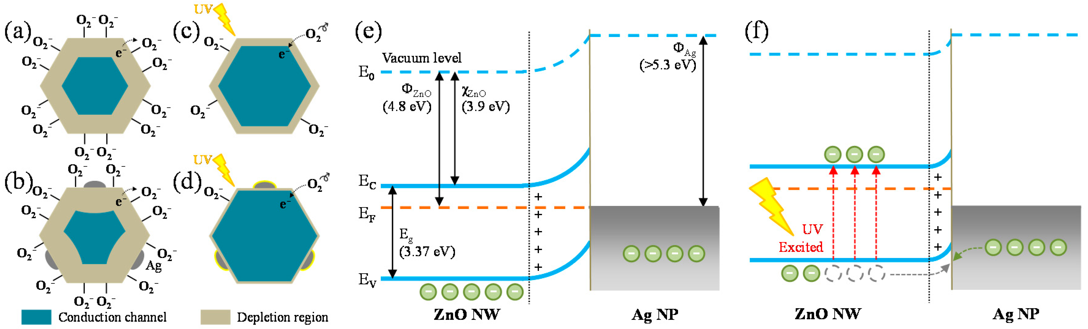 Chemosensors 09 00321 g010 550