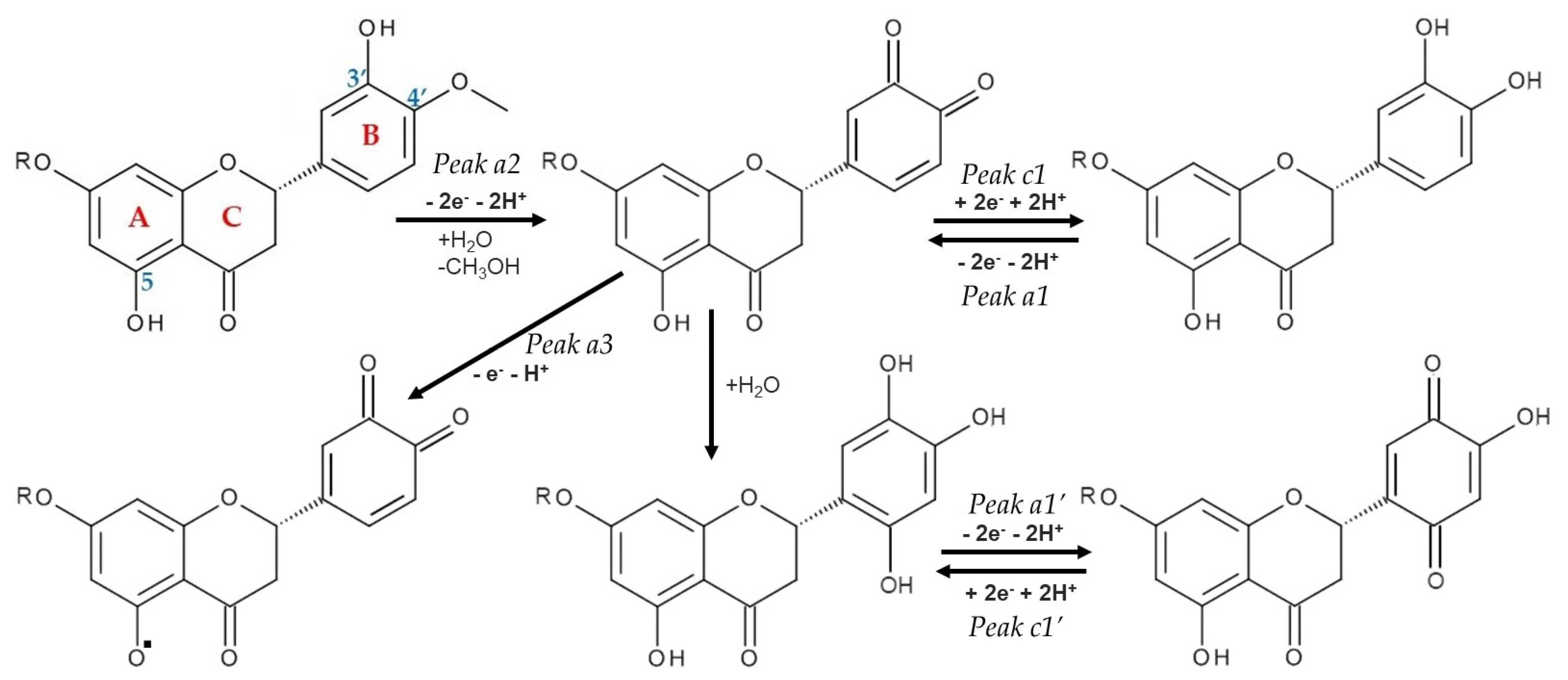 Chemosensors 09 00323 g006