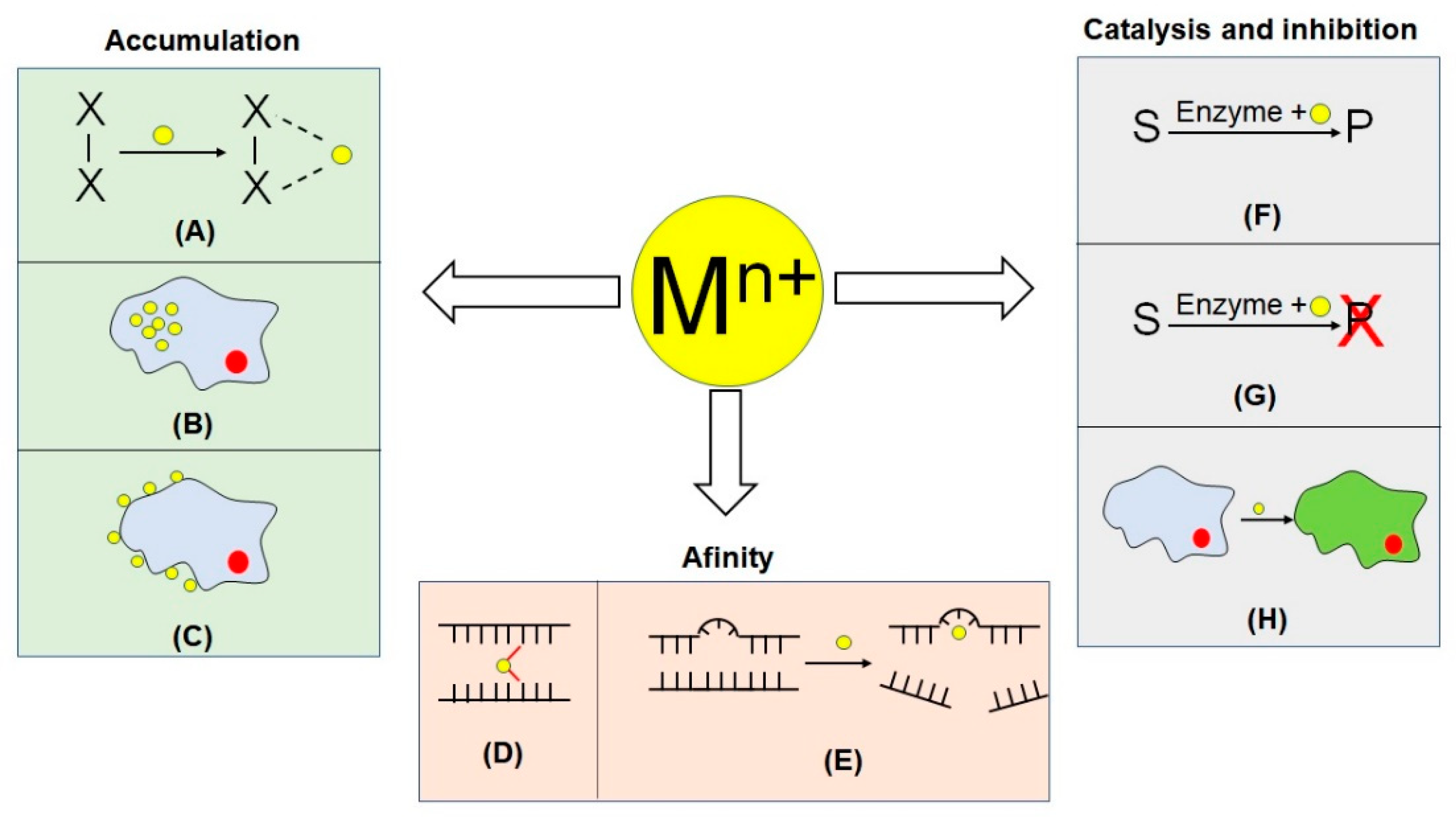 Chemosensors 09 00324 g003