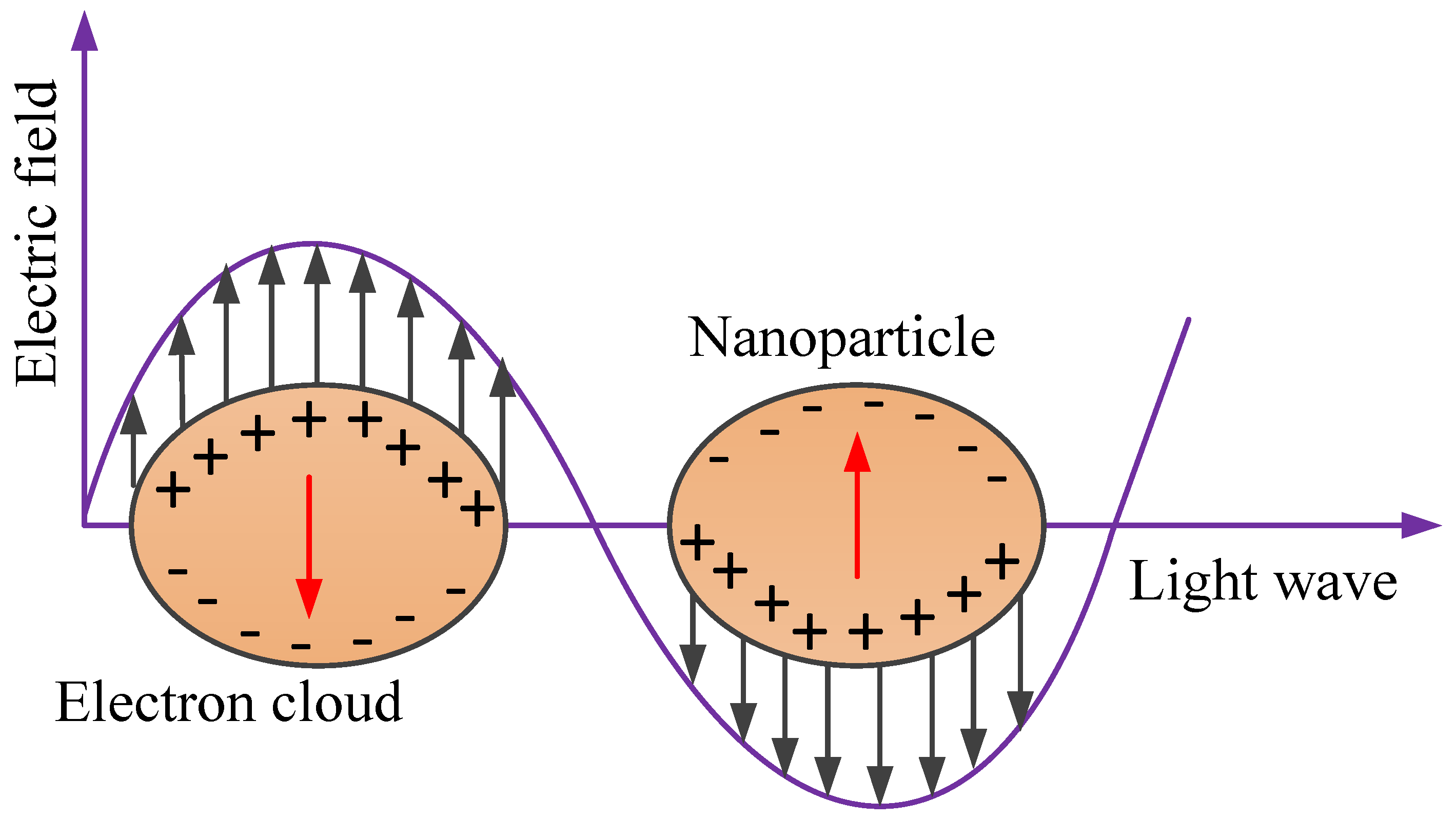 Chemosensors 09 00326 g007