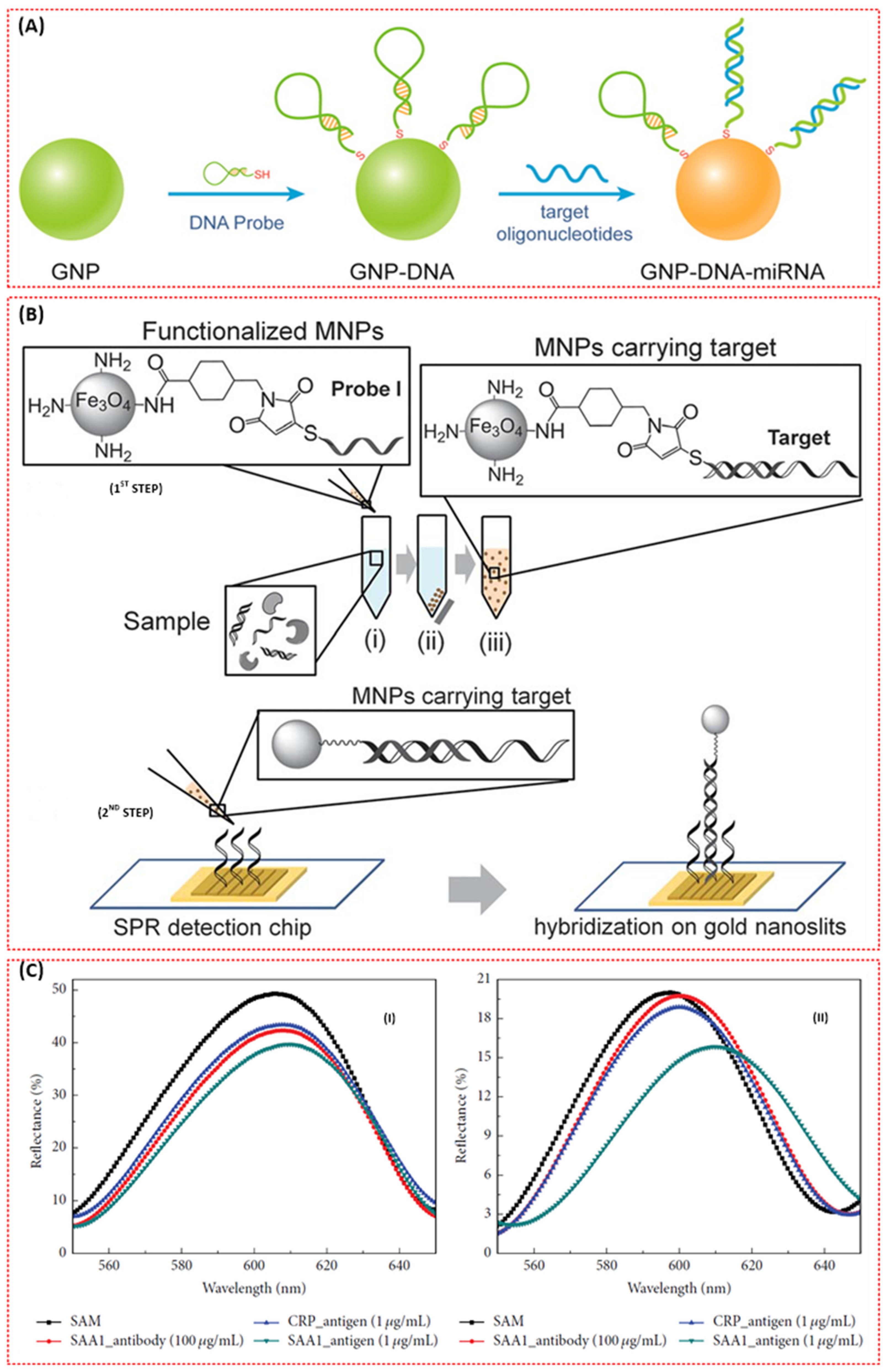 Chemosensors 09 00326 g010
