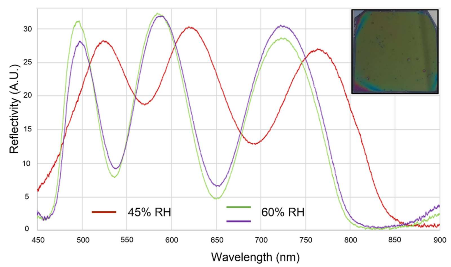 Chemosensors 09 00329 g001 550