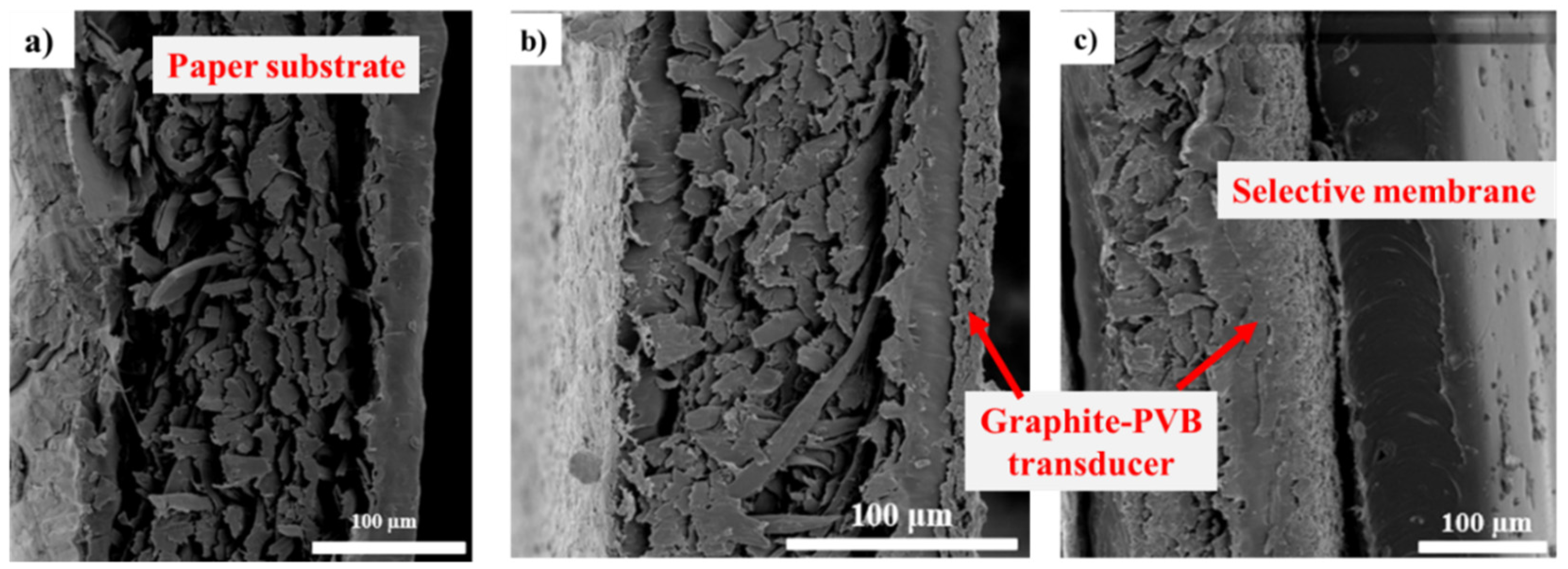 Chemosensors 09 00333 g006