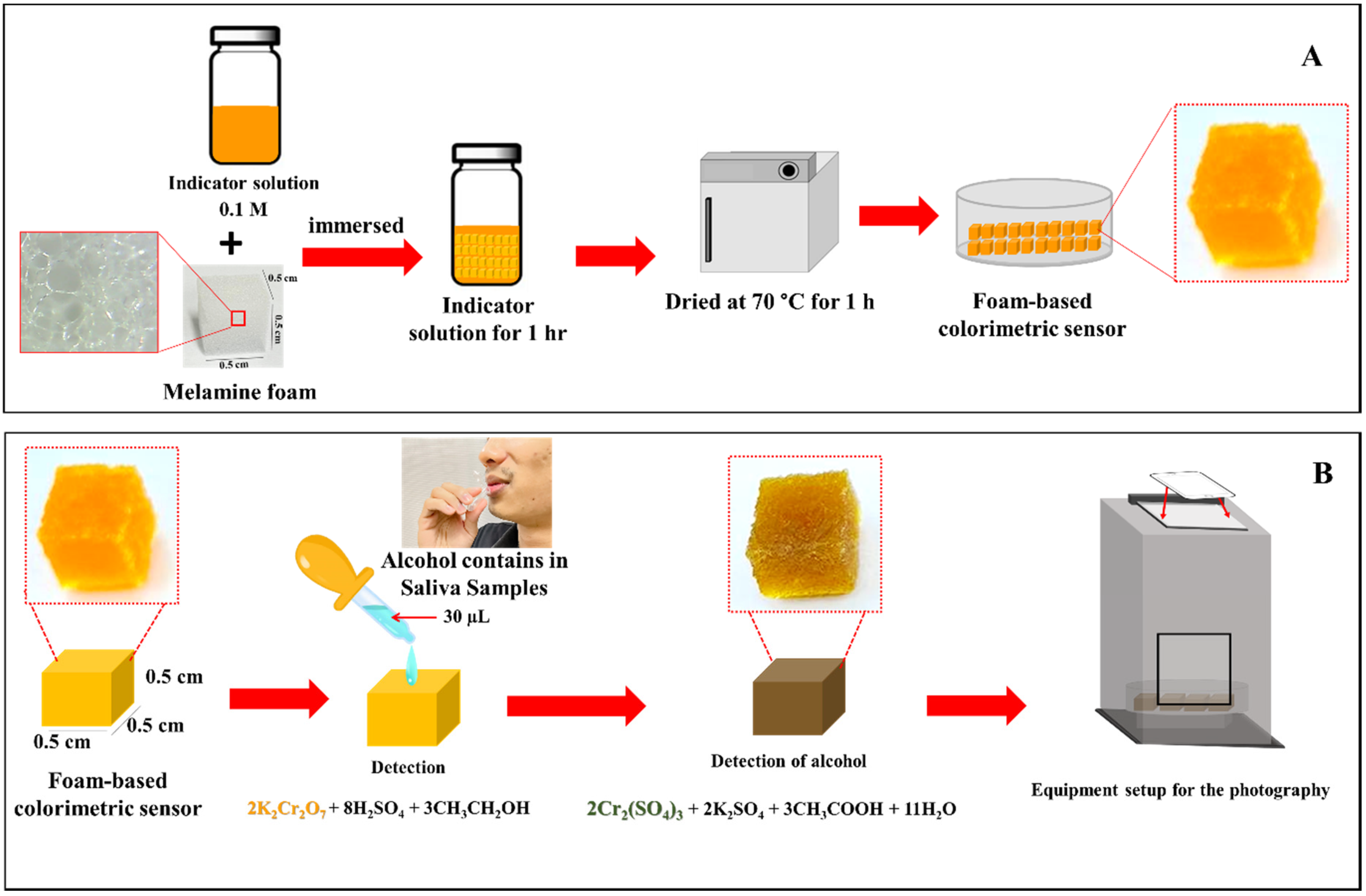 Chemosensors 09 00334 g001 Chemosensors 09 00334 g001