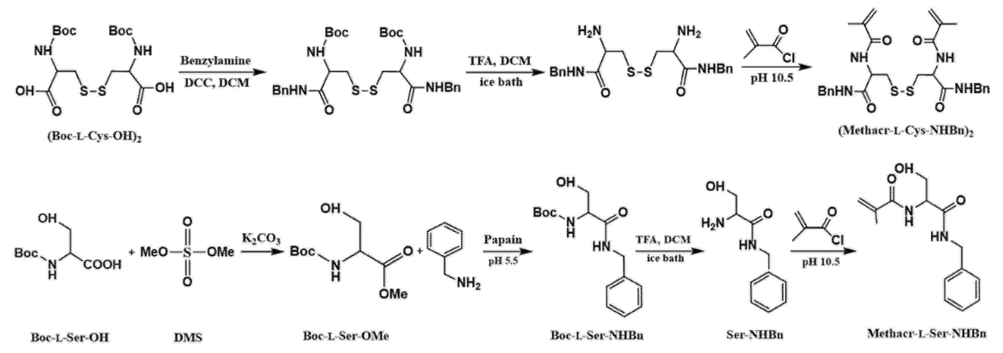 Chemosensors 09 00338 sch001