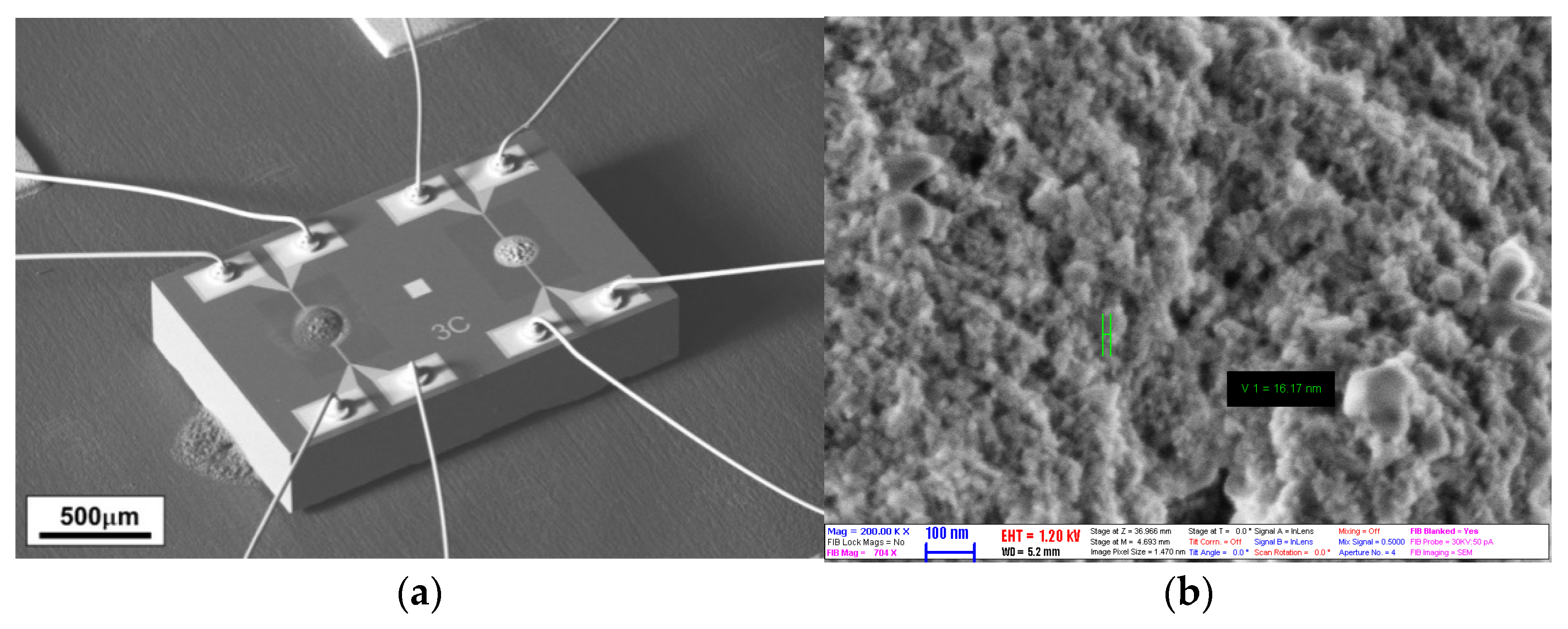 Chemosensors 09 00340 g001