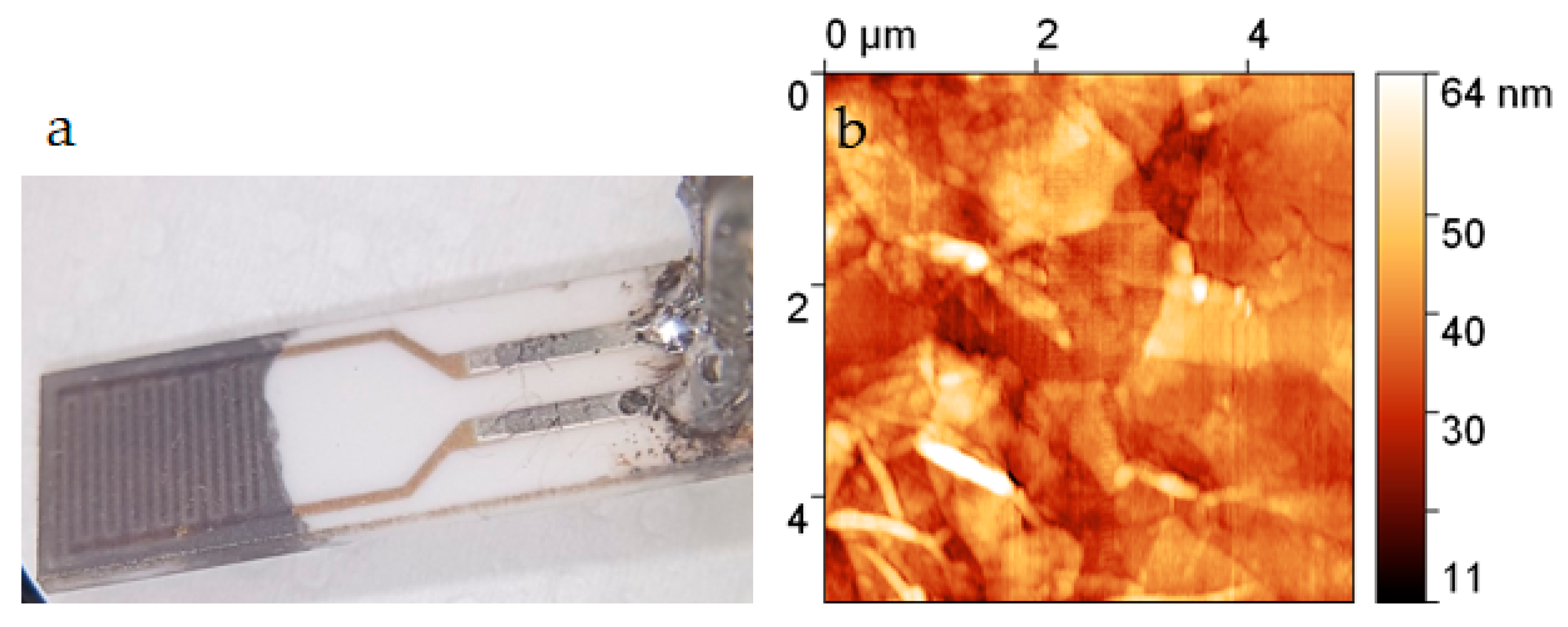Chemosensors 09 00342 g002 550