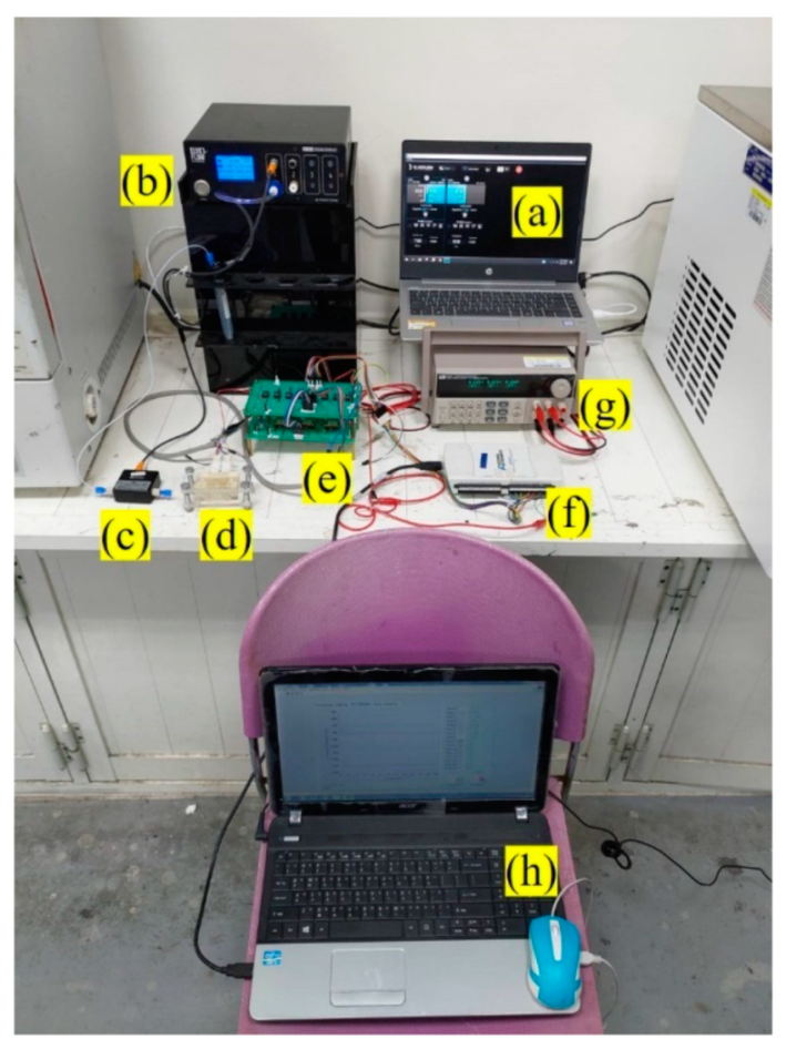 Chemosensors 09 00351 g005