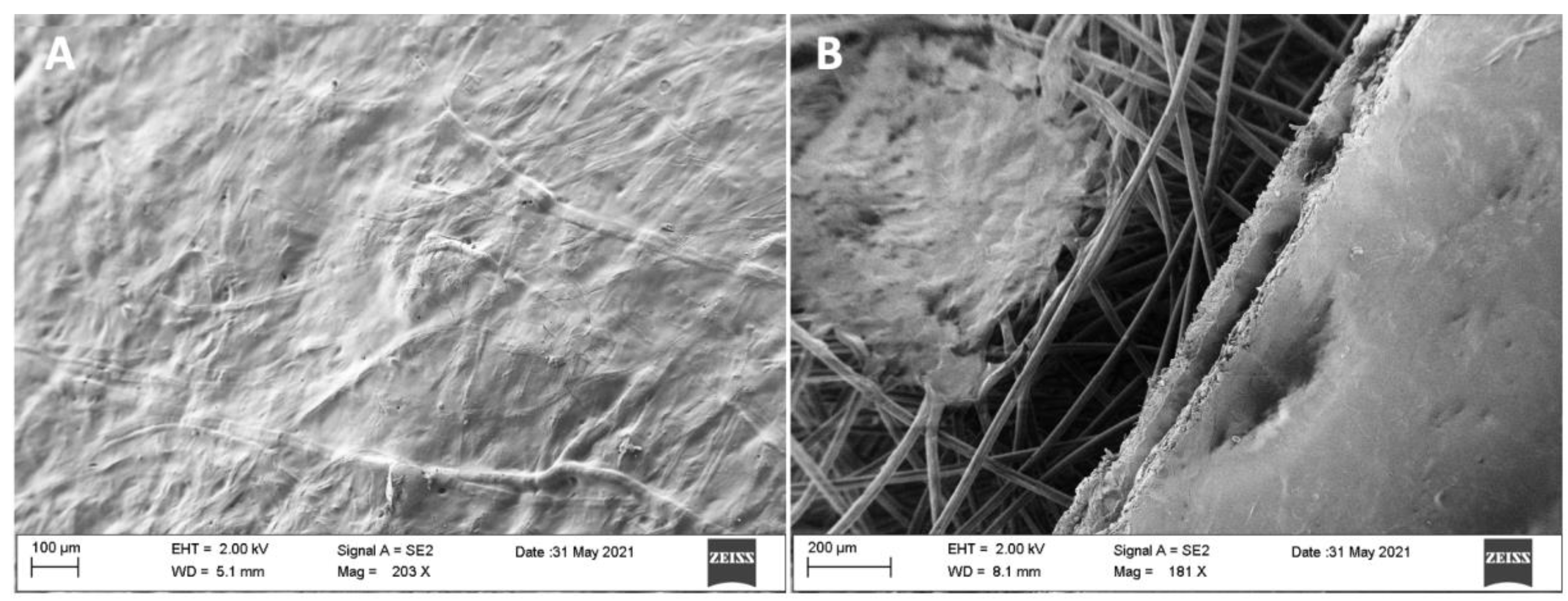 Chemosensors 09 00356 g003 550