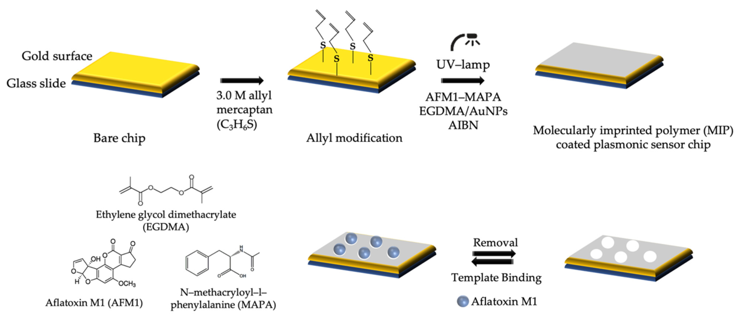 Chemosensors 09 00363 g001