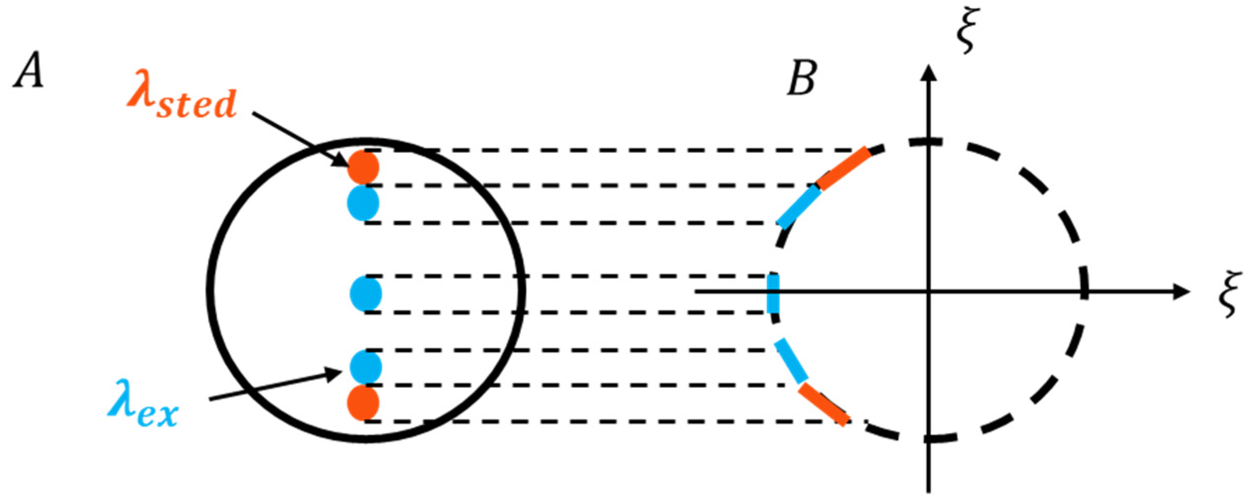Chemosensors 09 00364 g005 Chemosensors 09 00364 g005