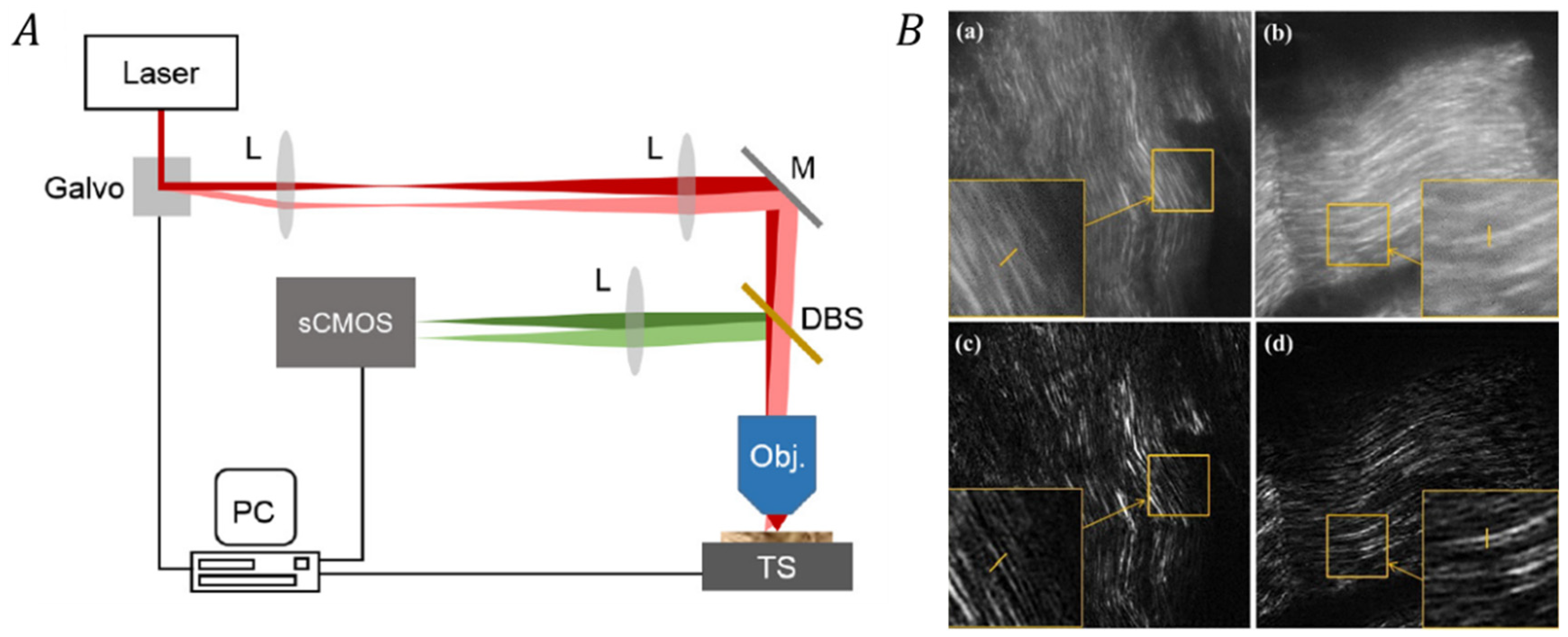 Chemosensors 09 00364 g009 Chemosensors 09 00364 g009