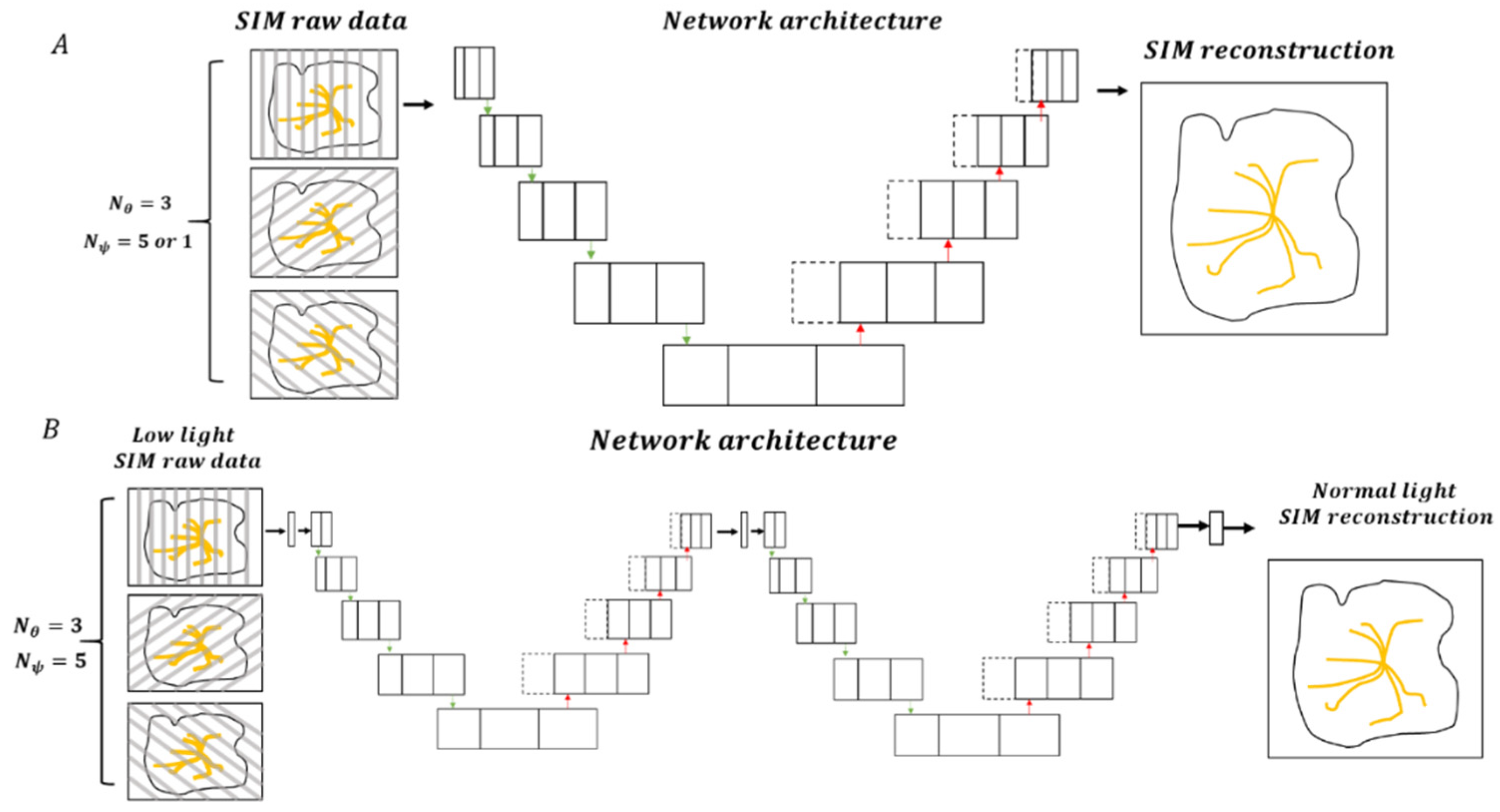 Chemosensors 09 00364 g010 Chemosensors 09 00364 g010