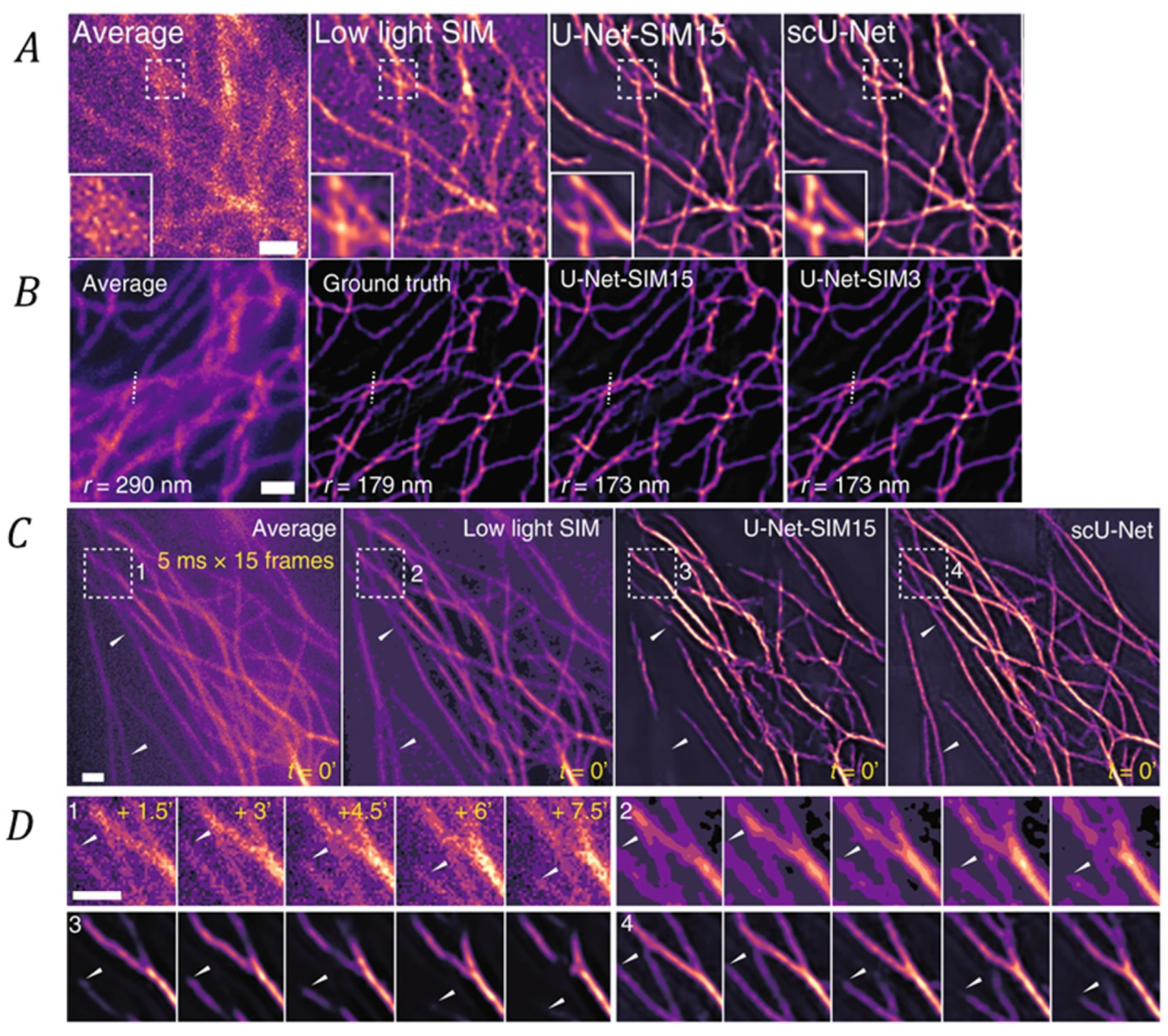 Chemosensors 09 00364 g011 Chemosensors 09 00364 g011