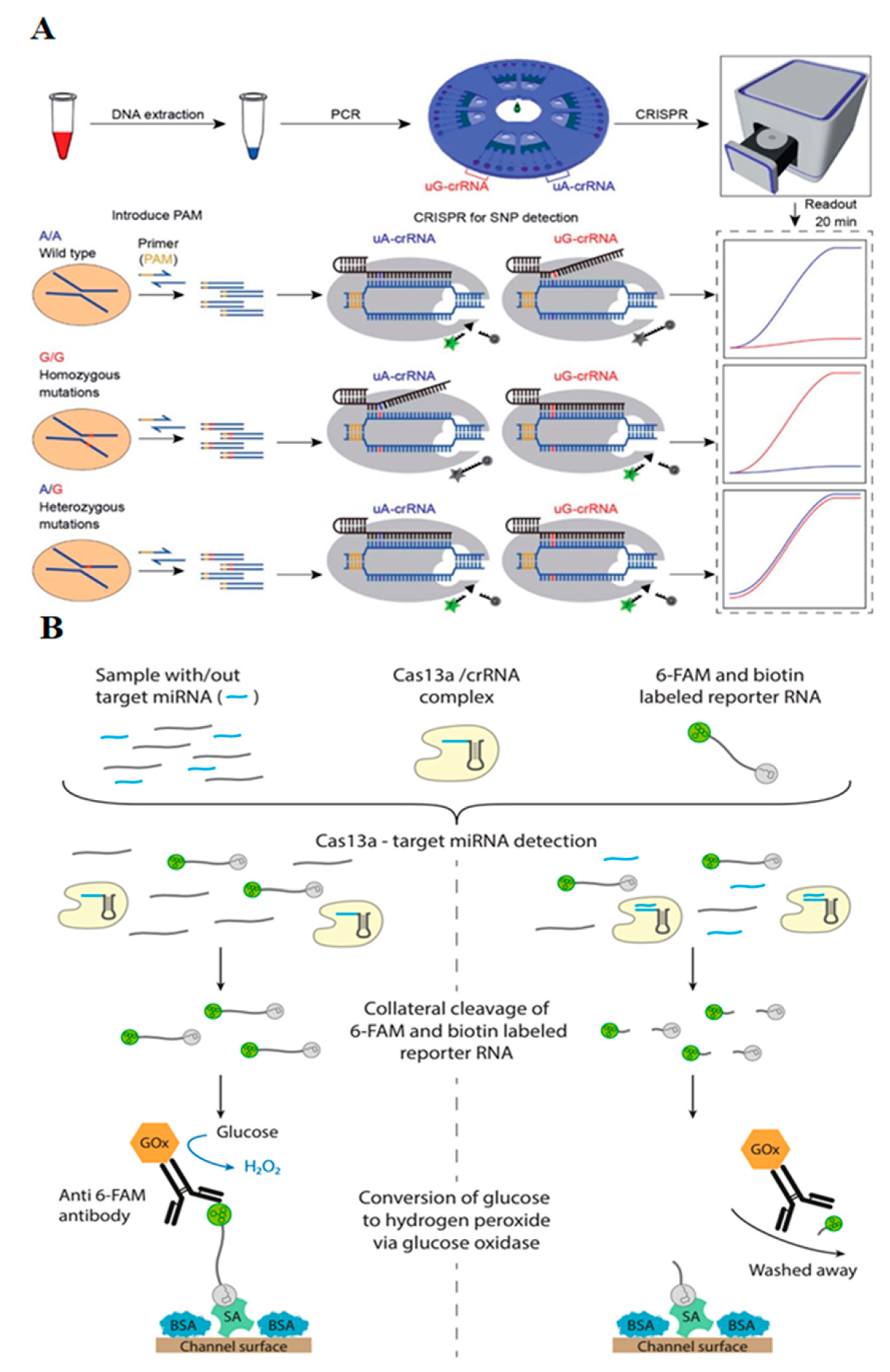 Chemosensors 10 00003 g005 550