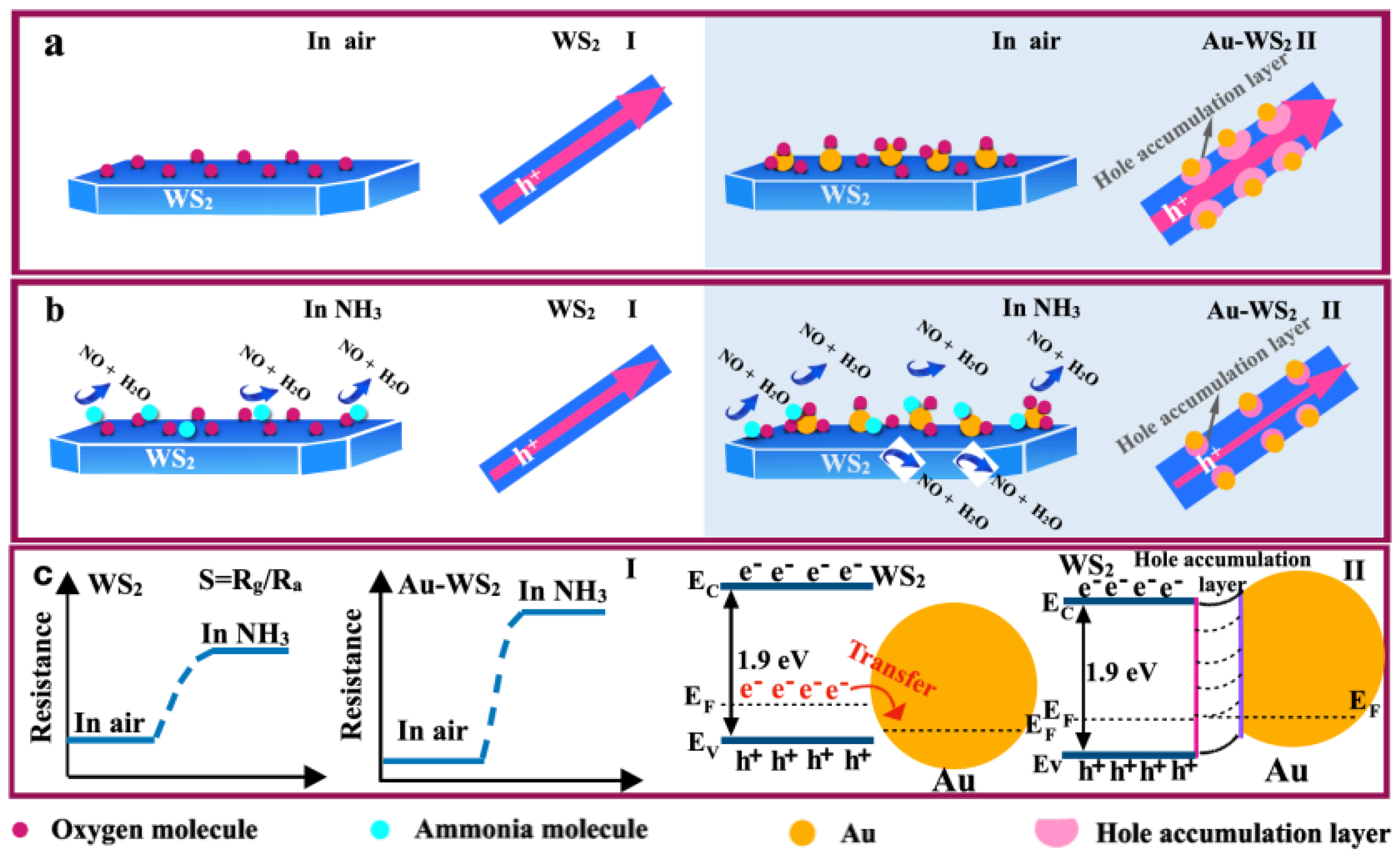 Chemosensors 10 00009 g007
