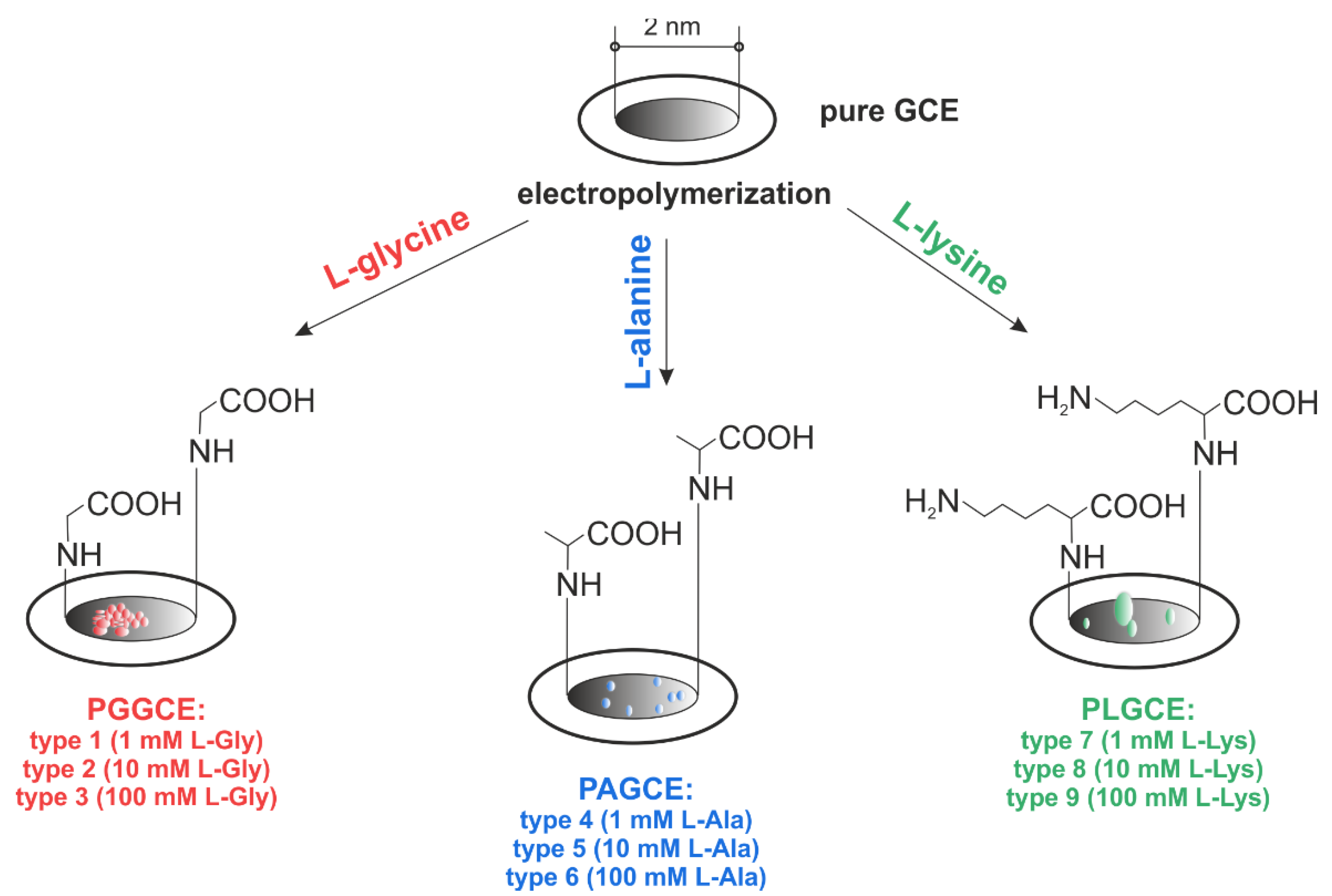 Chemosensors 10 00024 g003 Chemosensors 10 00024 g003