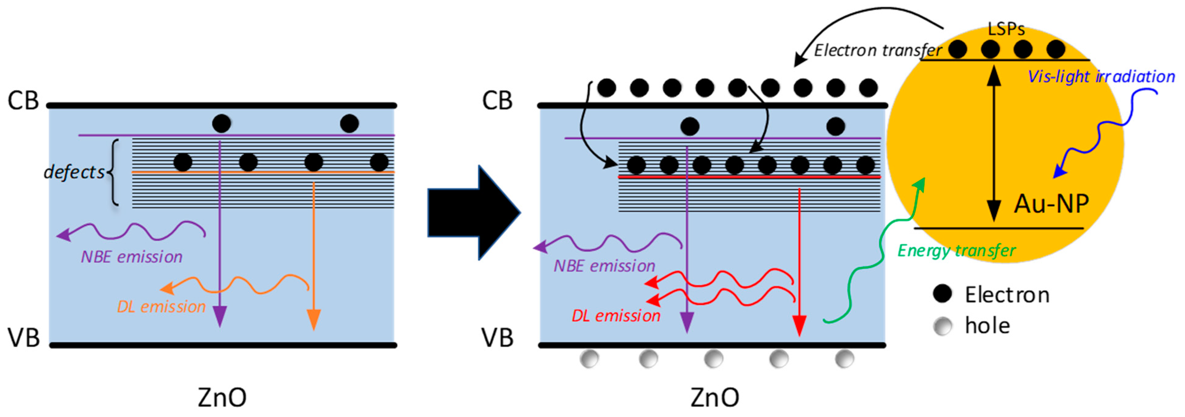 Chemosensors 10 00028 g010
