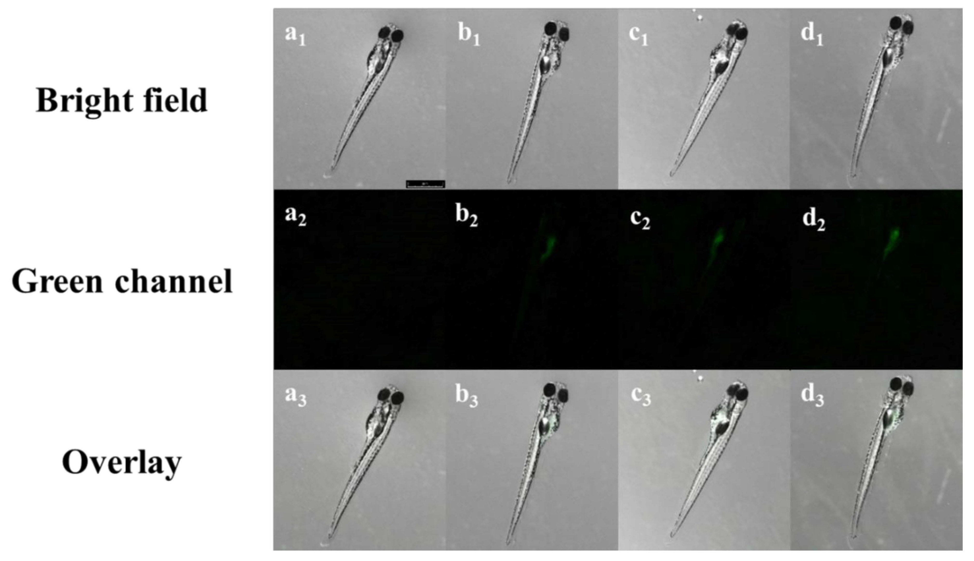Chemosensors 10 00032 g008